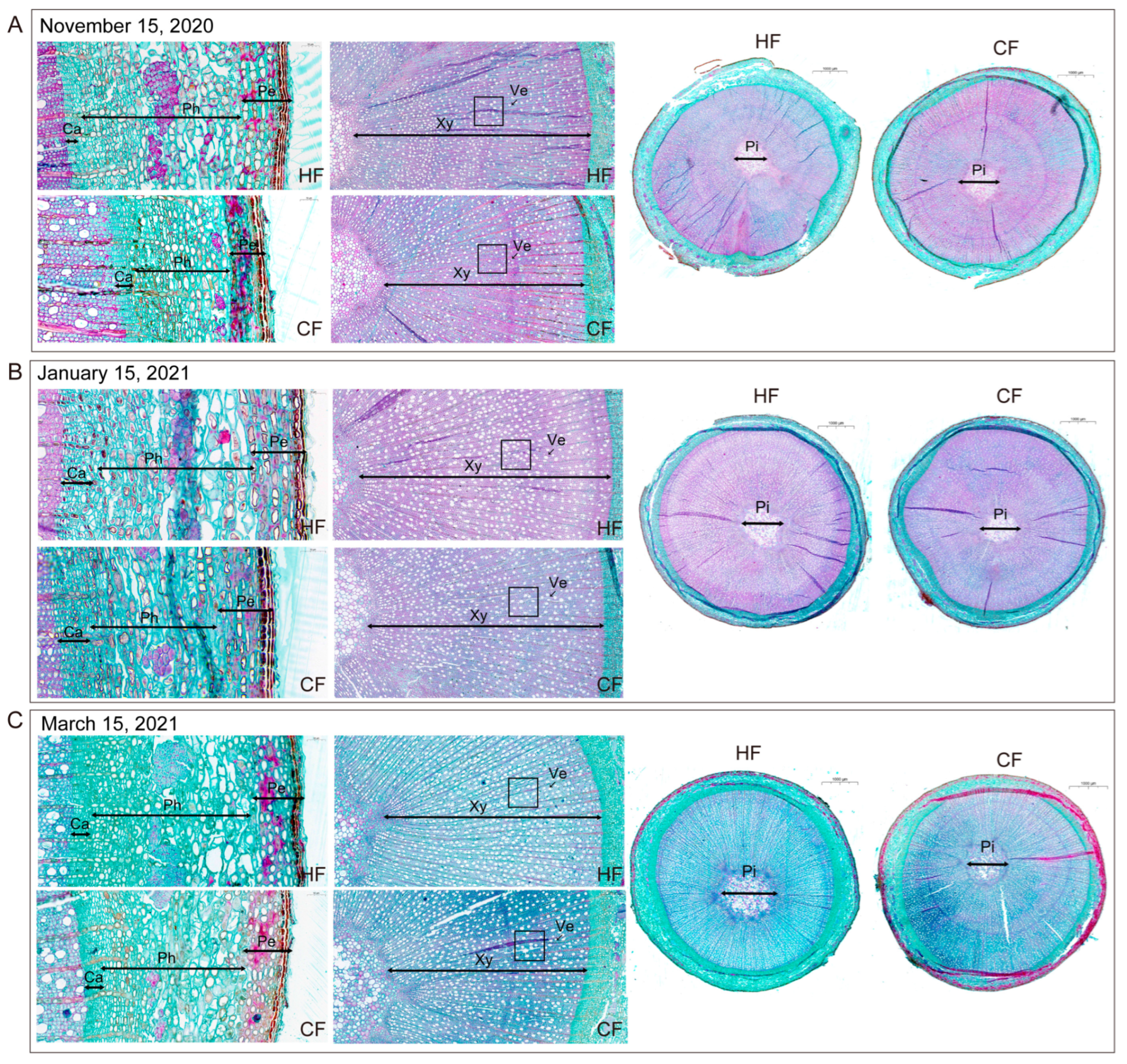 Horticulturae 09 00947 g004