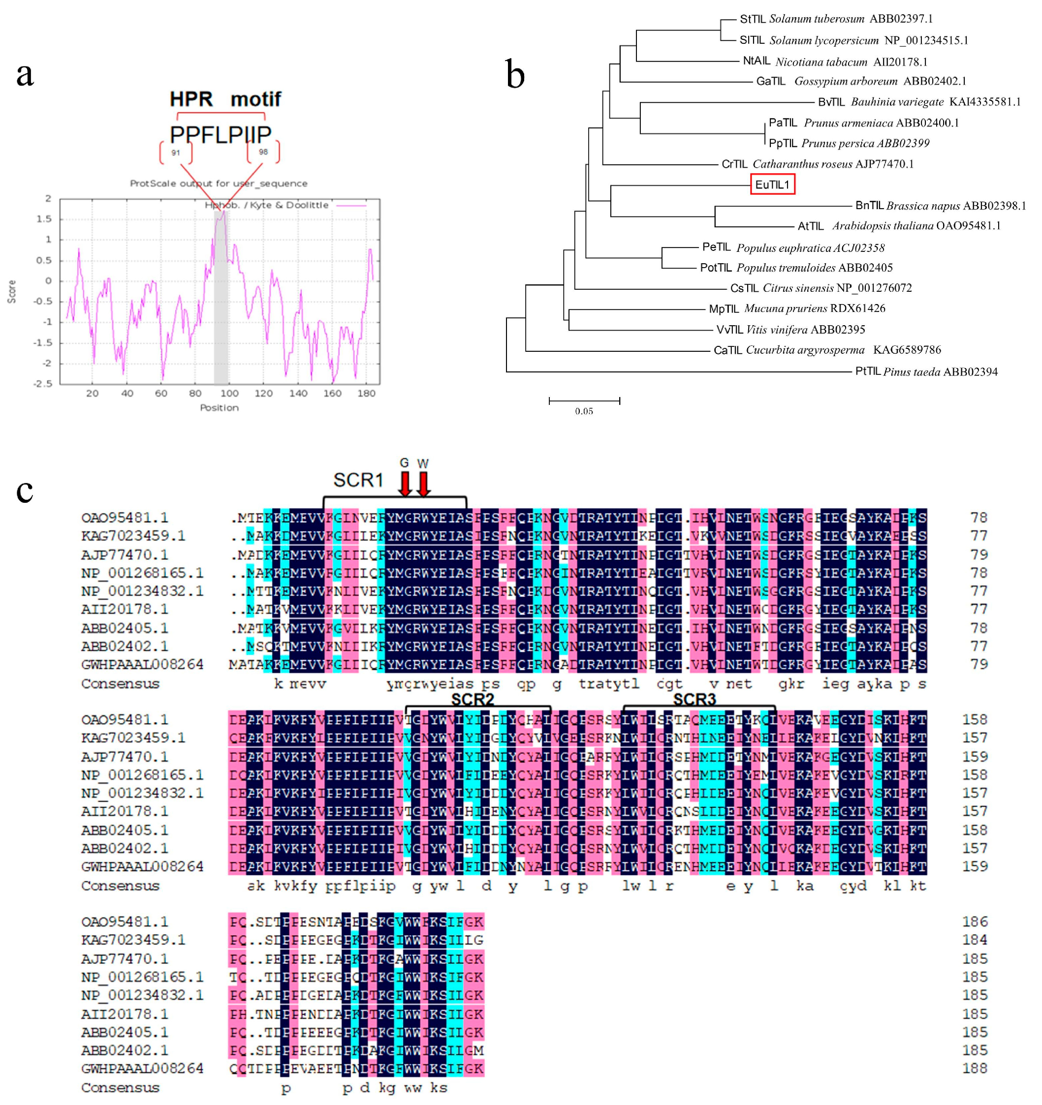 Horticulturae 09 00950 g001