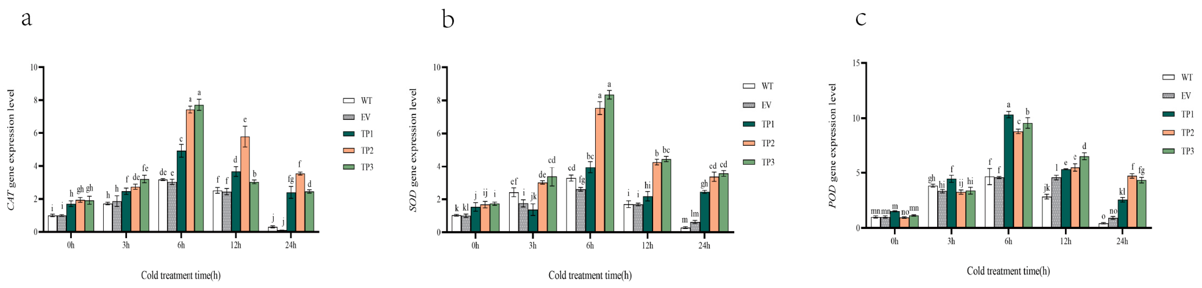 Horticulturae 09 00950 g006
