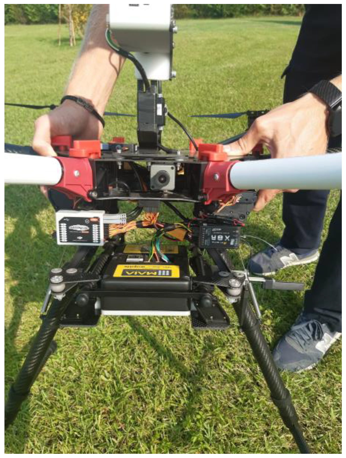 Horticulturae 09 01011 g001