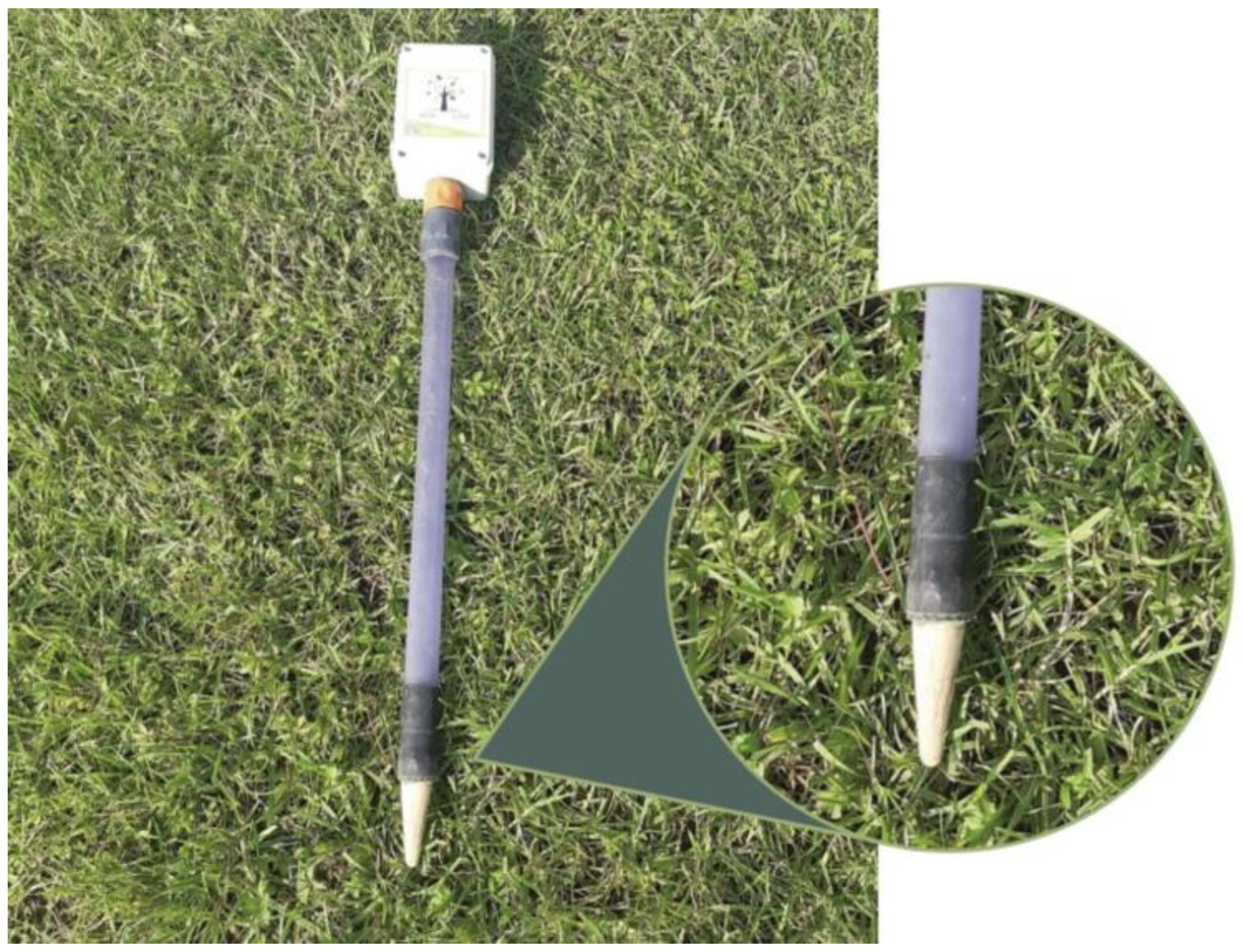 Horticulturae 09 01011 g003