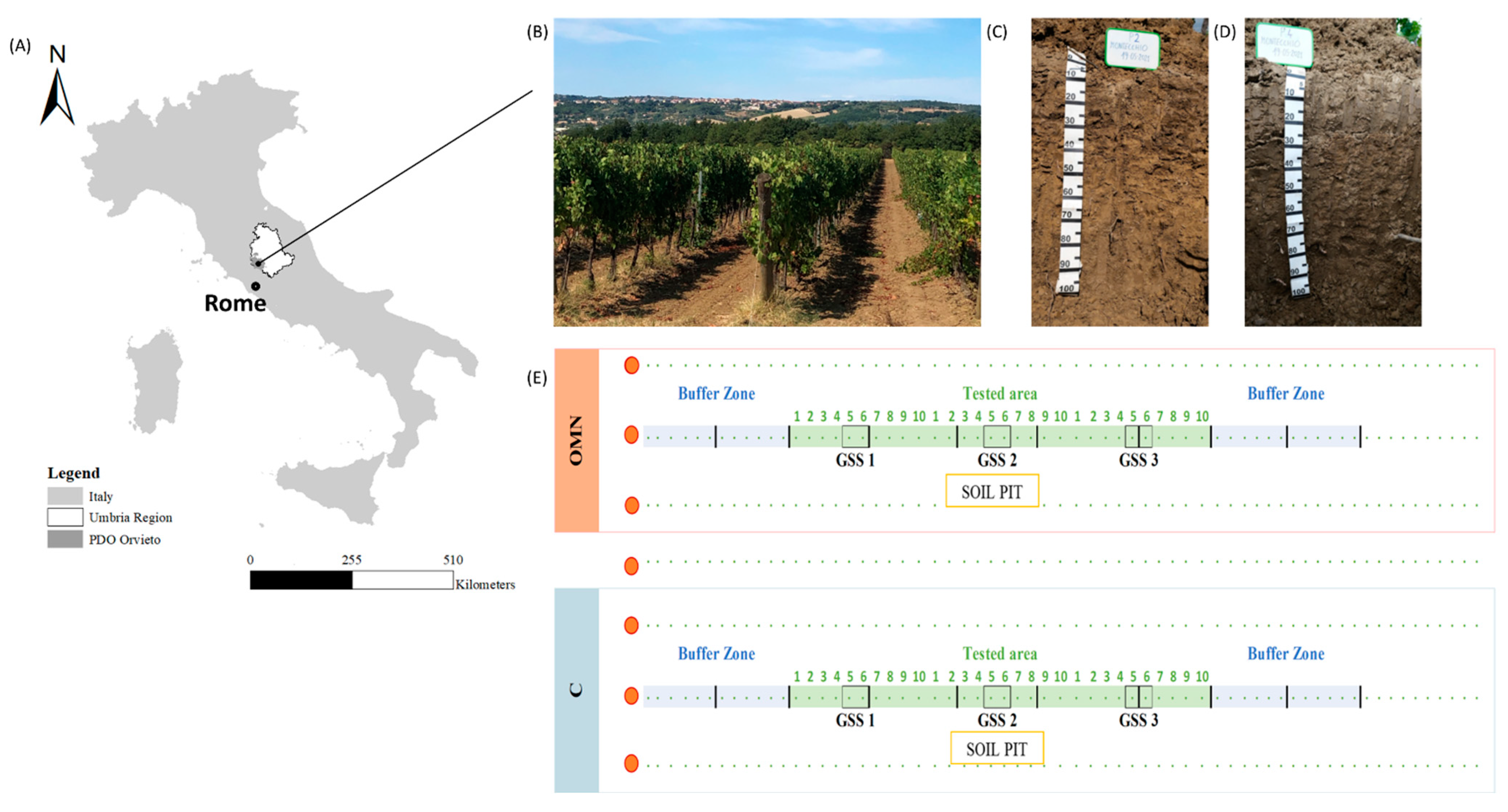Horticulturae 09 01107 g001