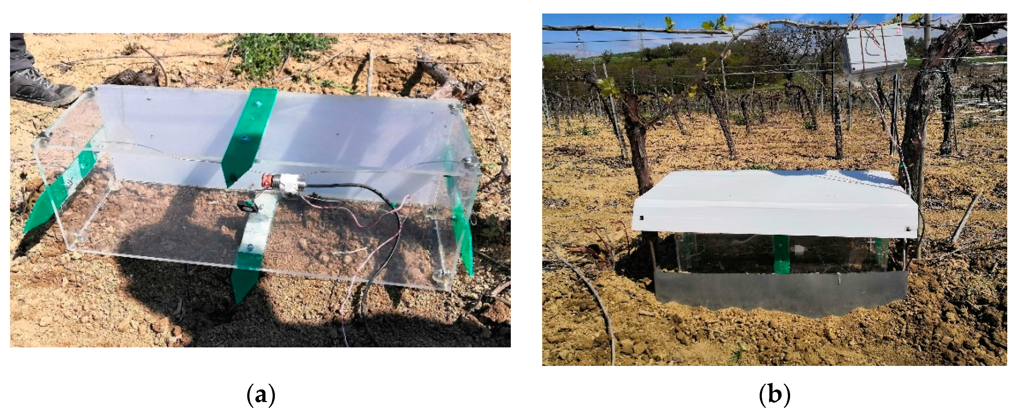 Horticulturae 09 01107 g002