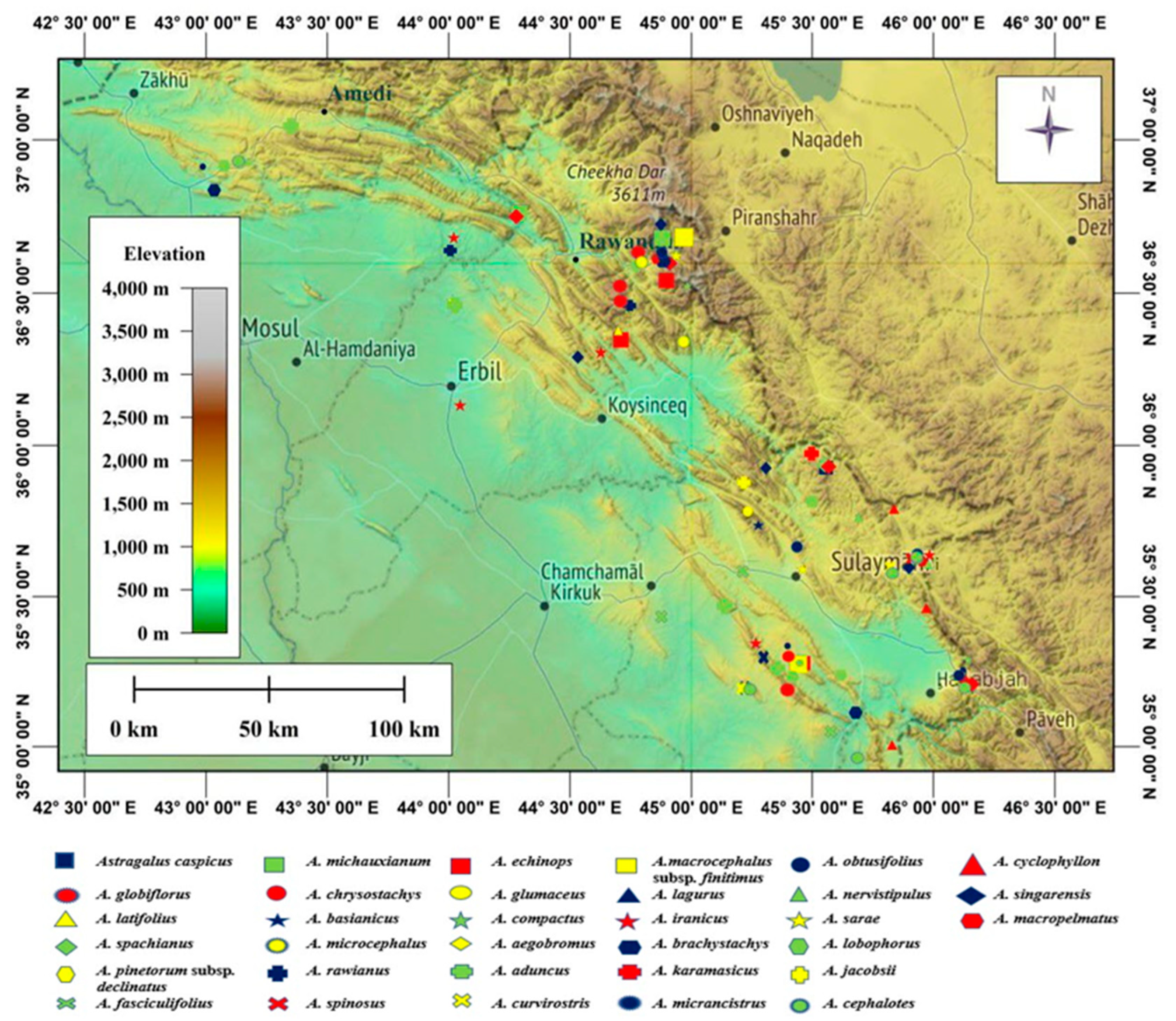 Molecular Variation in Some Taxa of Genus Astragalus L. (Fabaceae) in ...