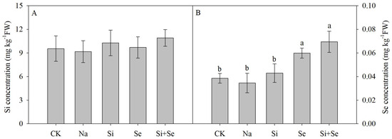 Horticulturae 09 01126 g001