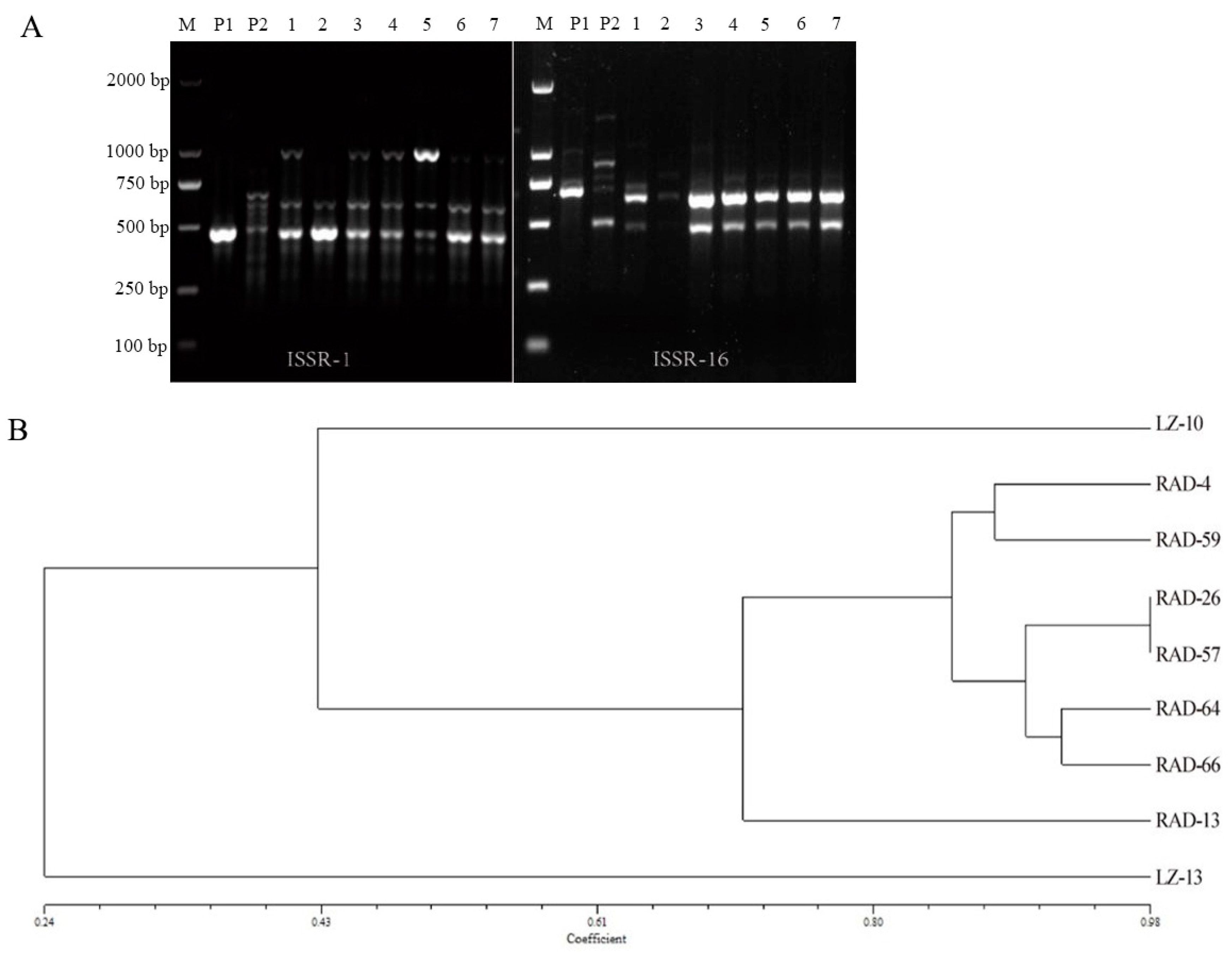 Horticulturae 09 01129 g002