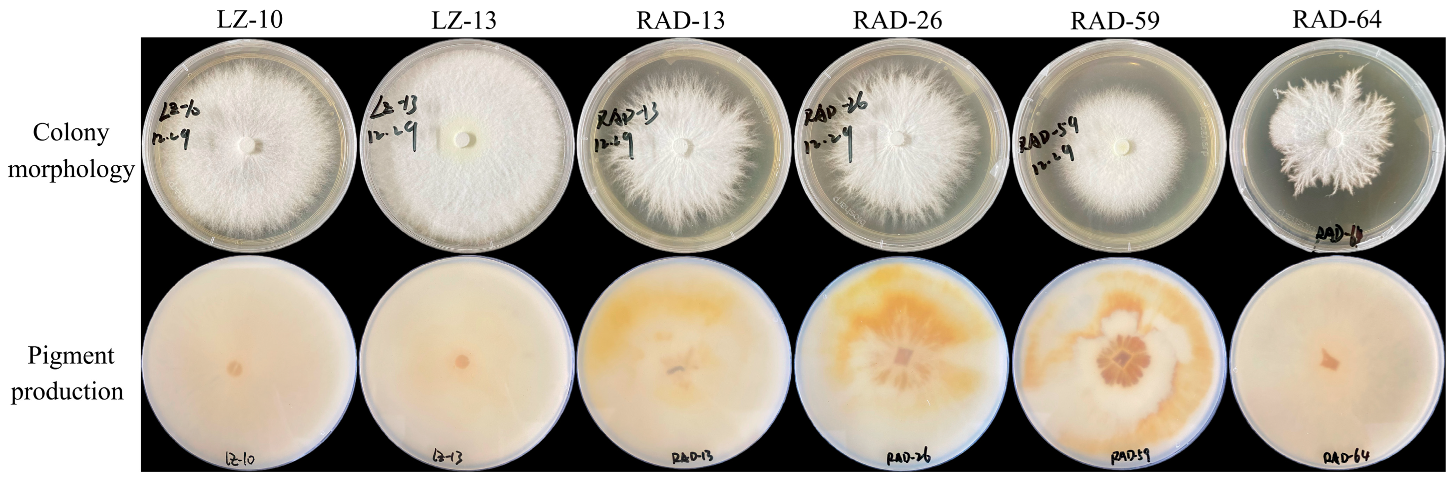 Horticulturae 09 01129 g003