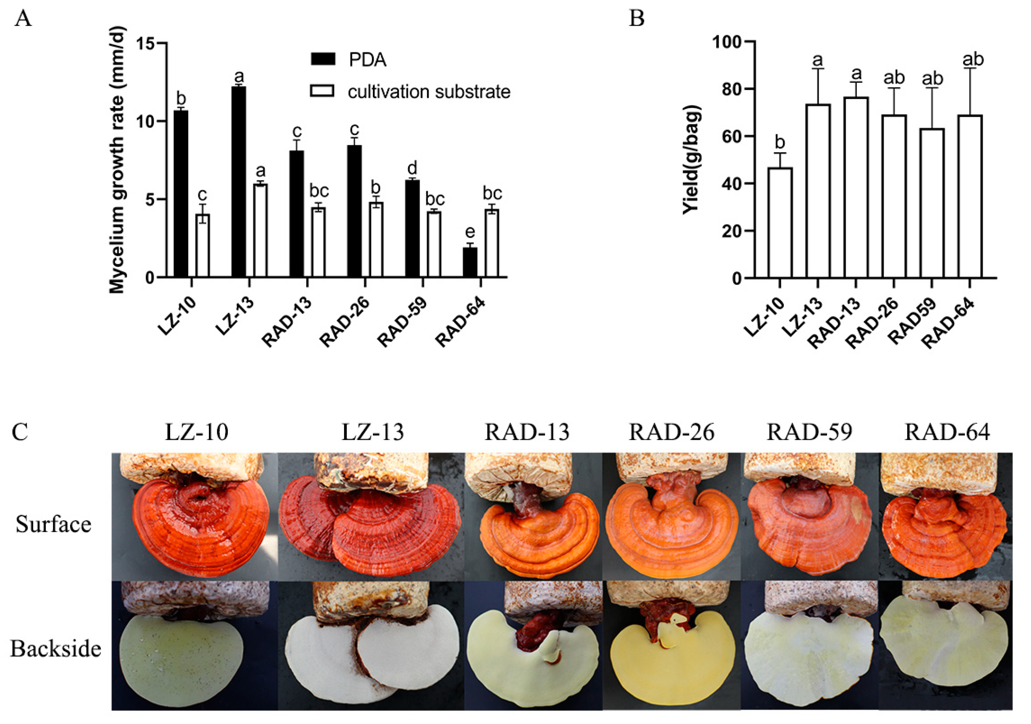Horticulturae 09 01129 g004