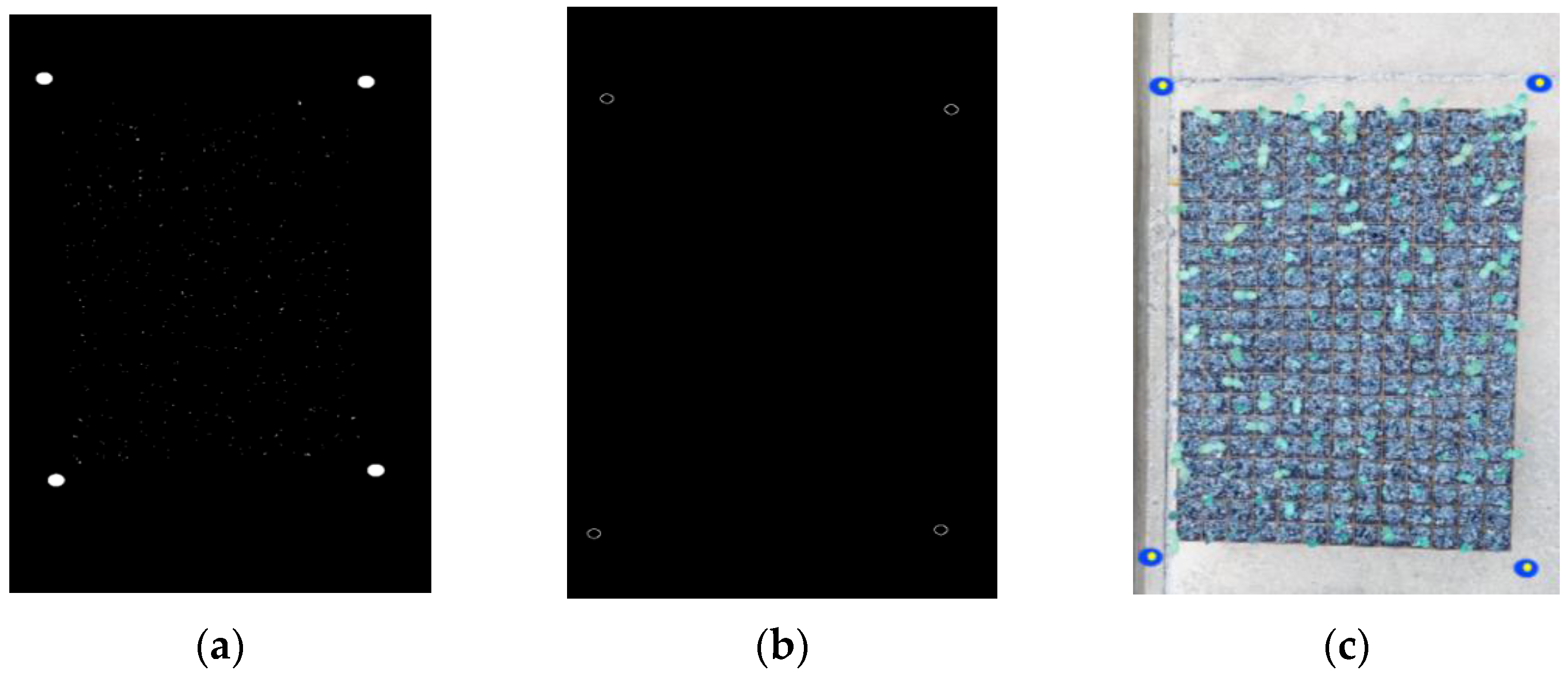 Horticulturae 09 01134 g003