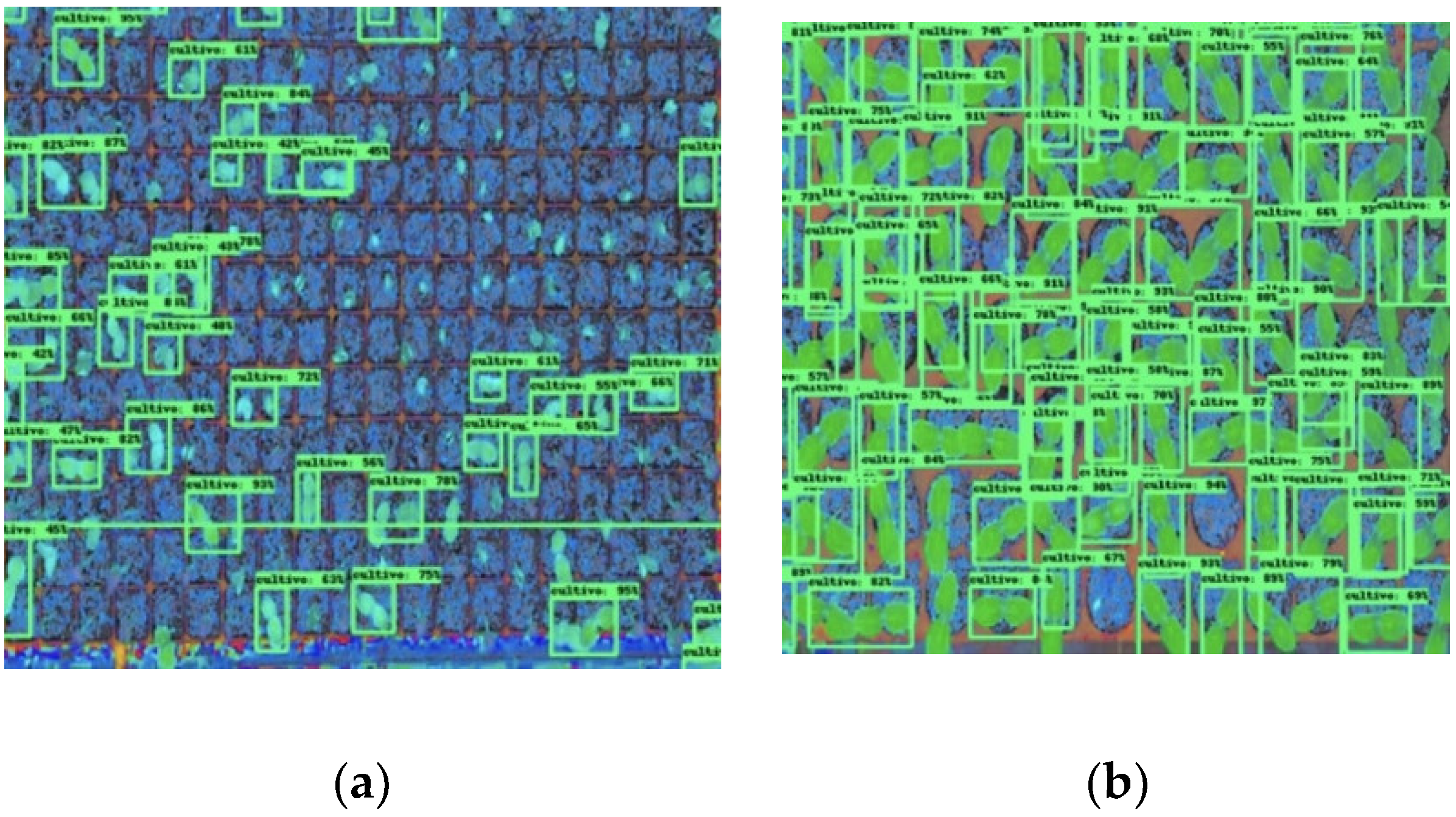 Horticulturae 09 01134 g007