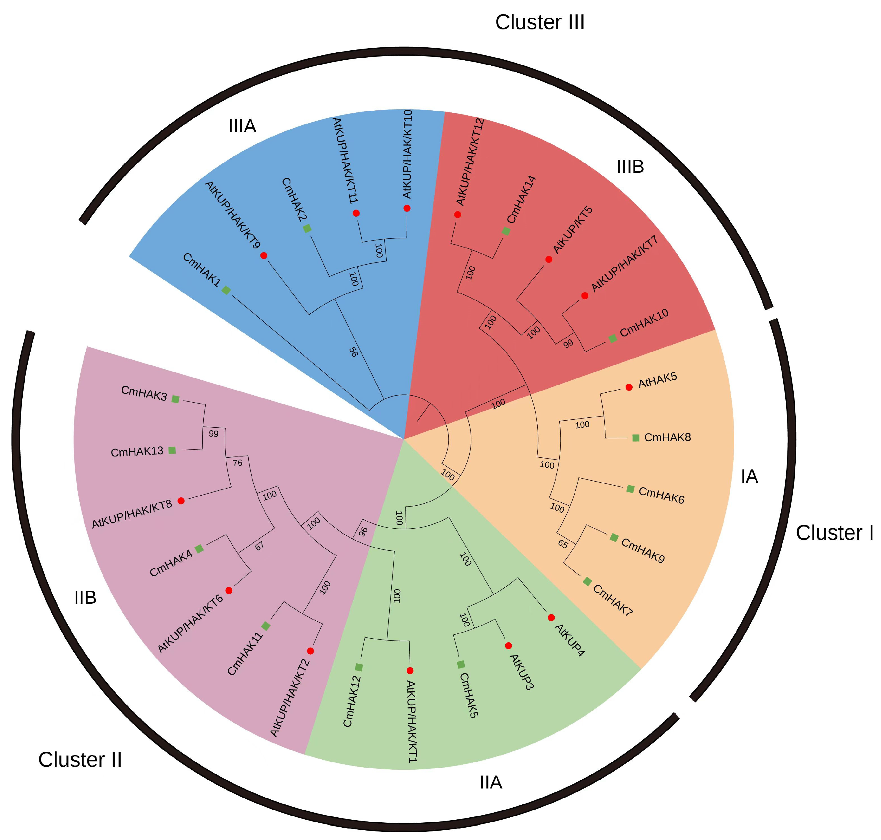 Horticulturae 09 01138 g006