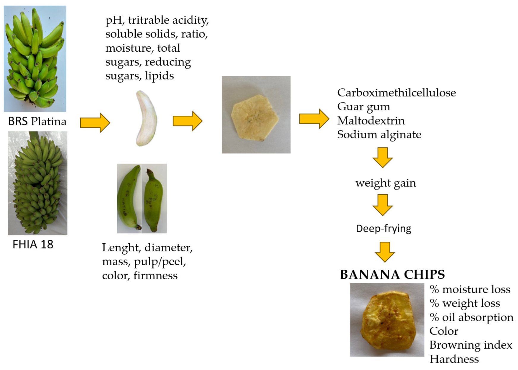 Horticulturae 09 01139 g001