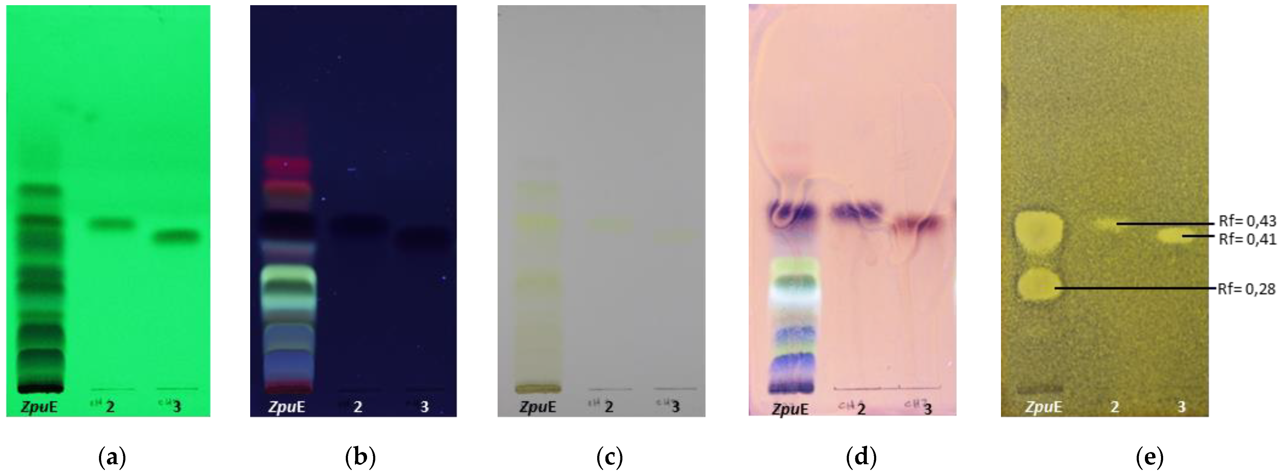Horticulturae 09 01141 g003