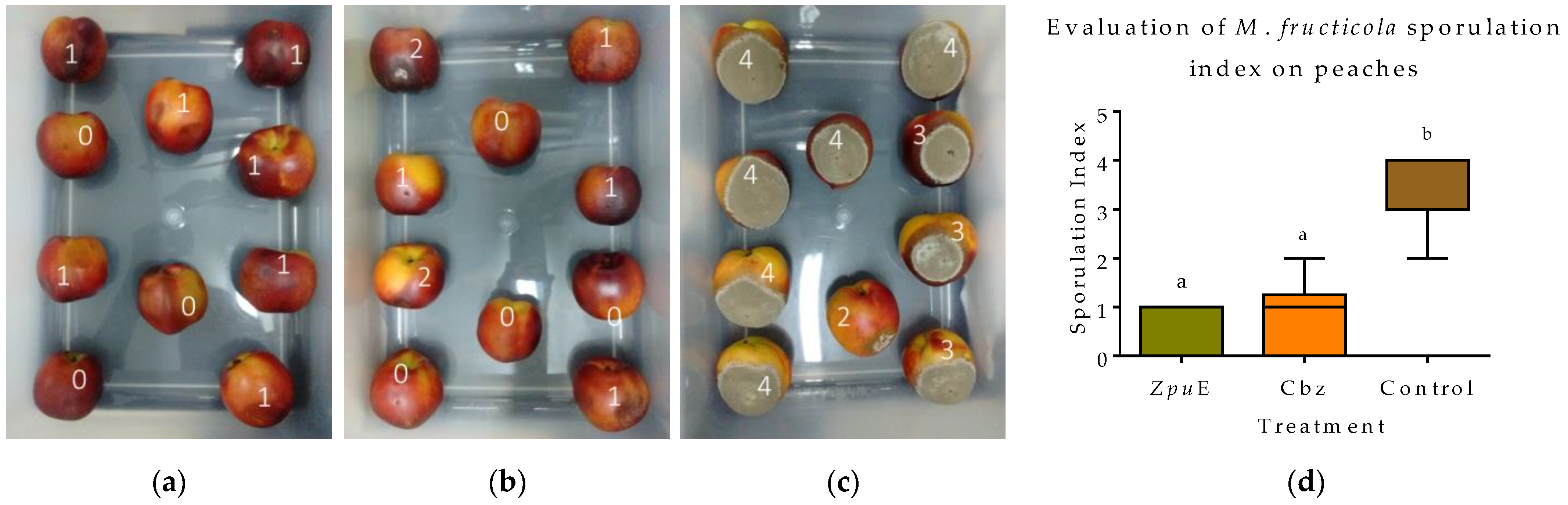 Horticulturae 09 01141 g004