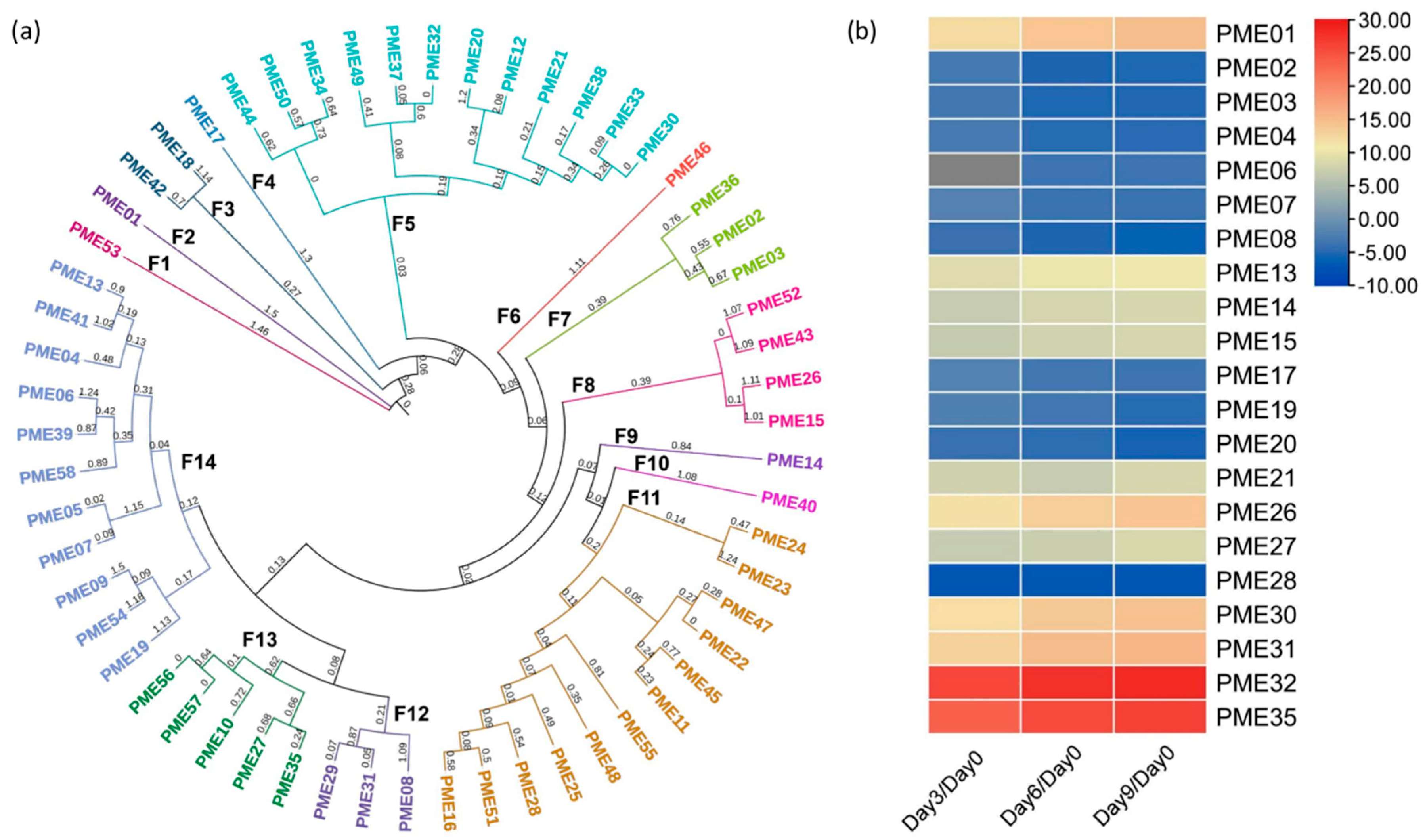 Horticulturae 09 01150 g001