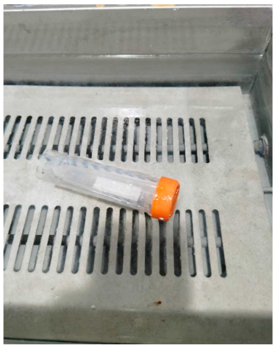 Horticulturae 09 01151 g002