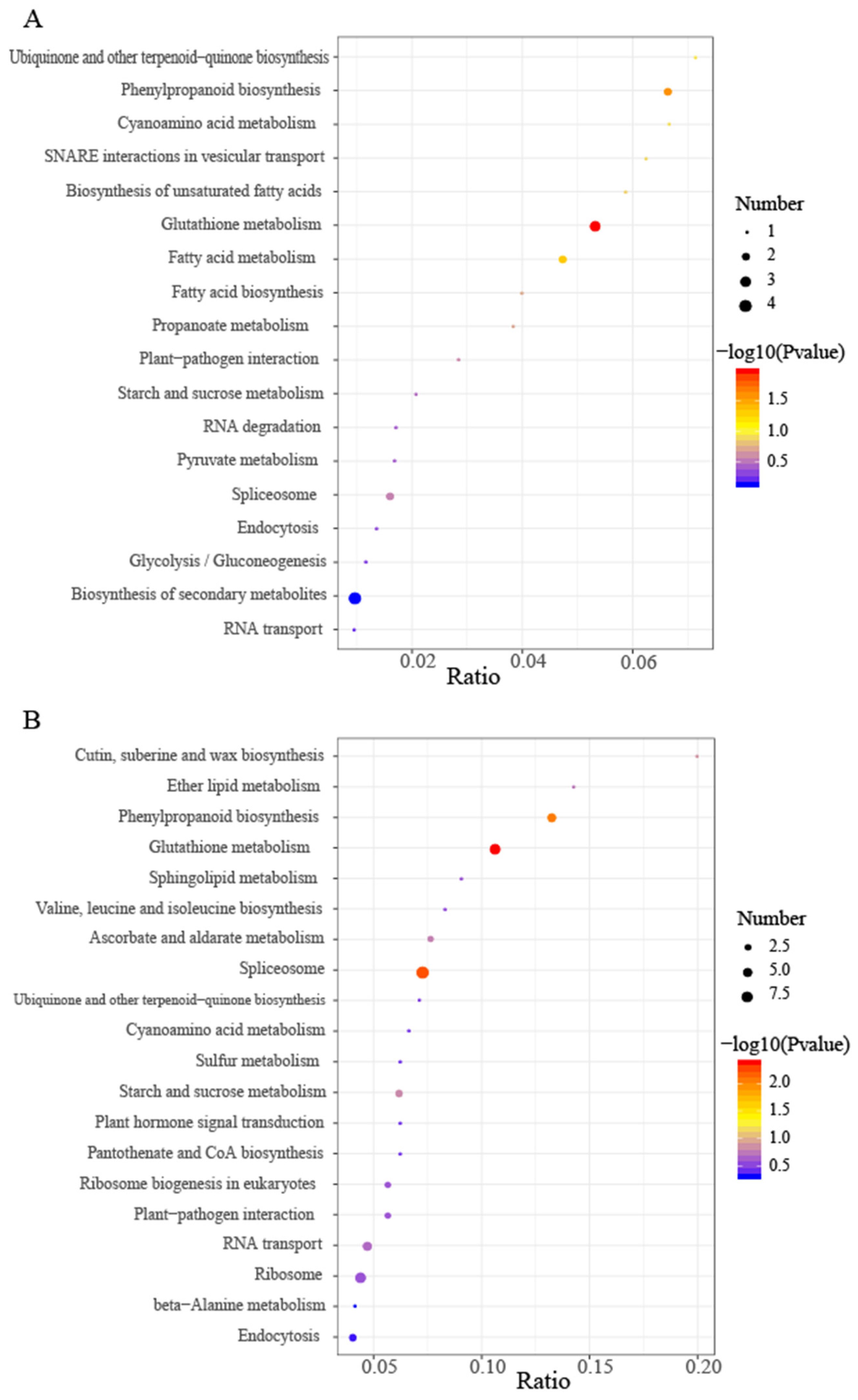 Horticulturae 09 01155 g005a