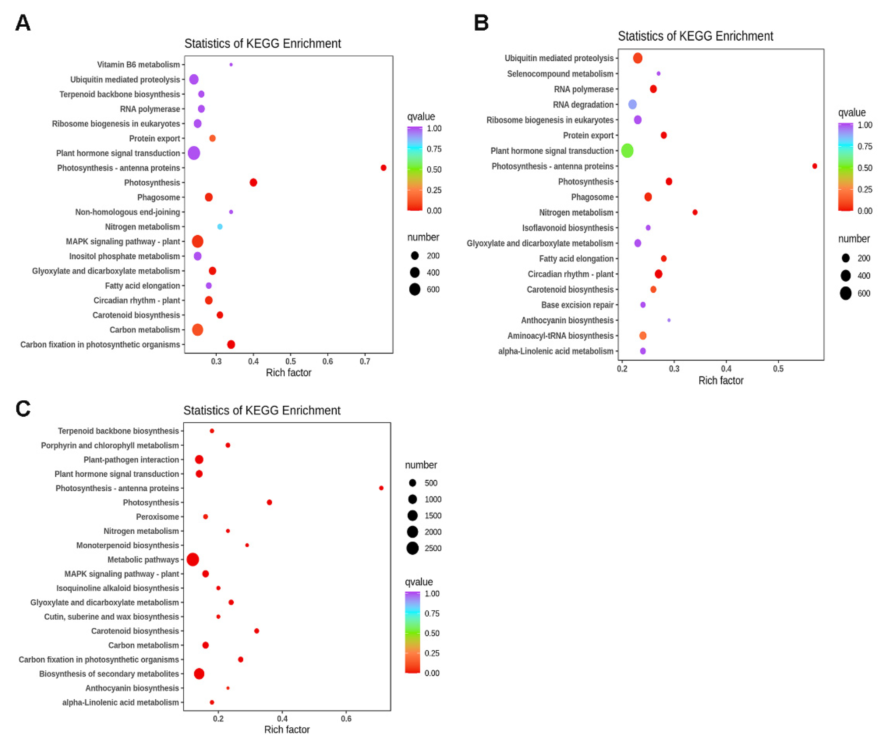 Horticulturae 09 01172 g008