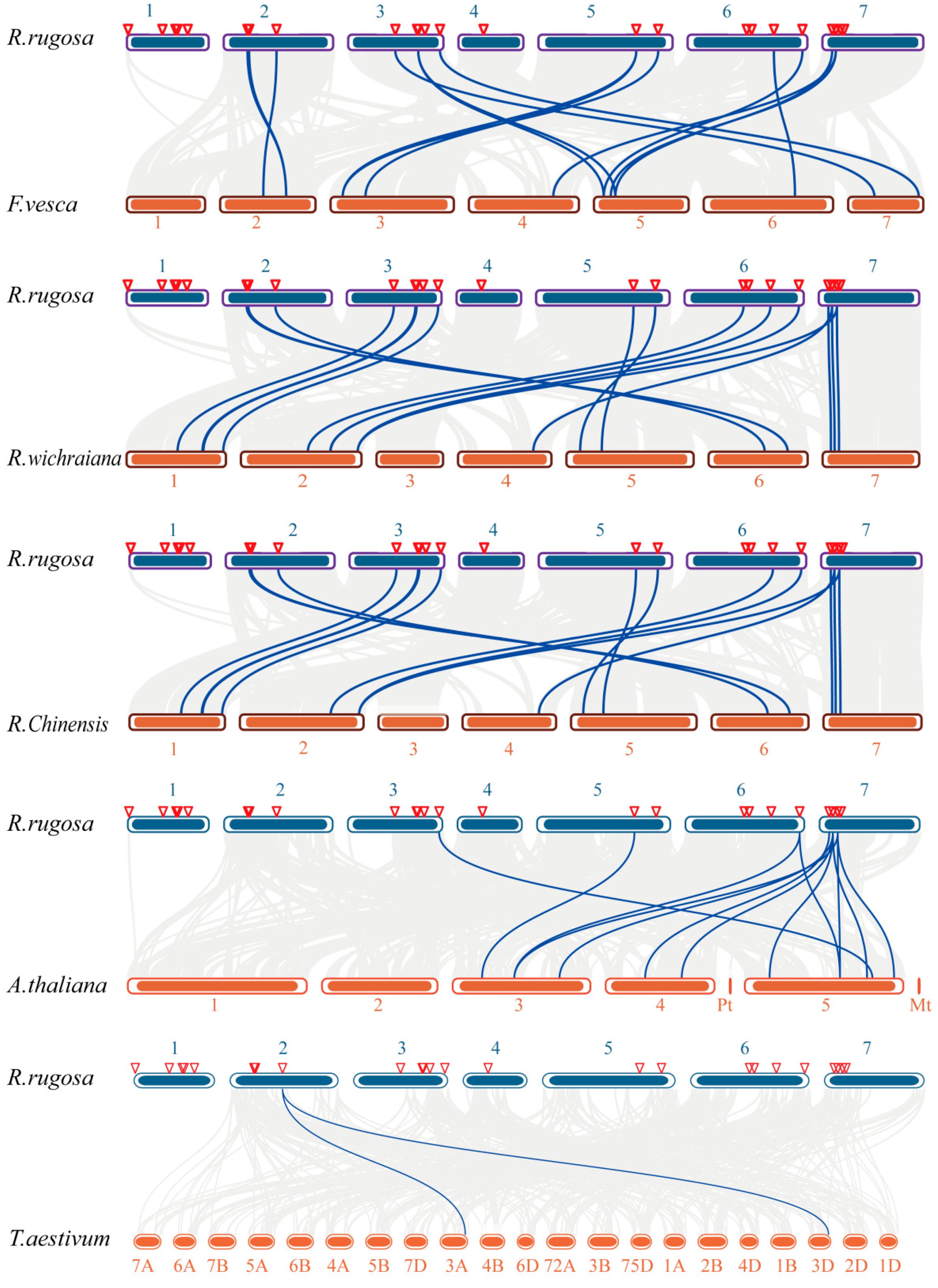 Horticulturae 09 01212 g005