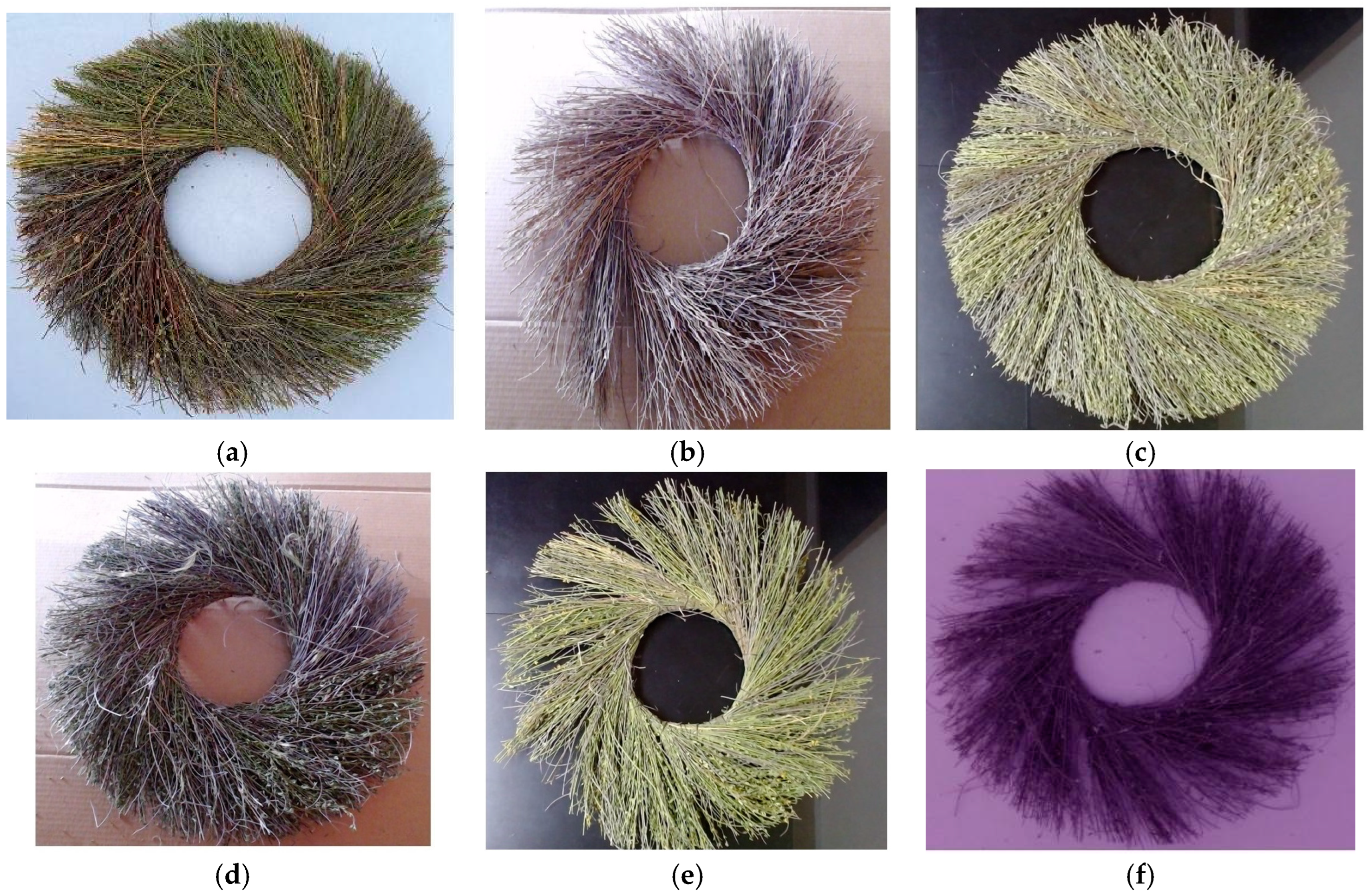 Horticulturae 09 01213 g001