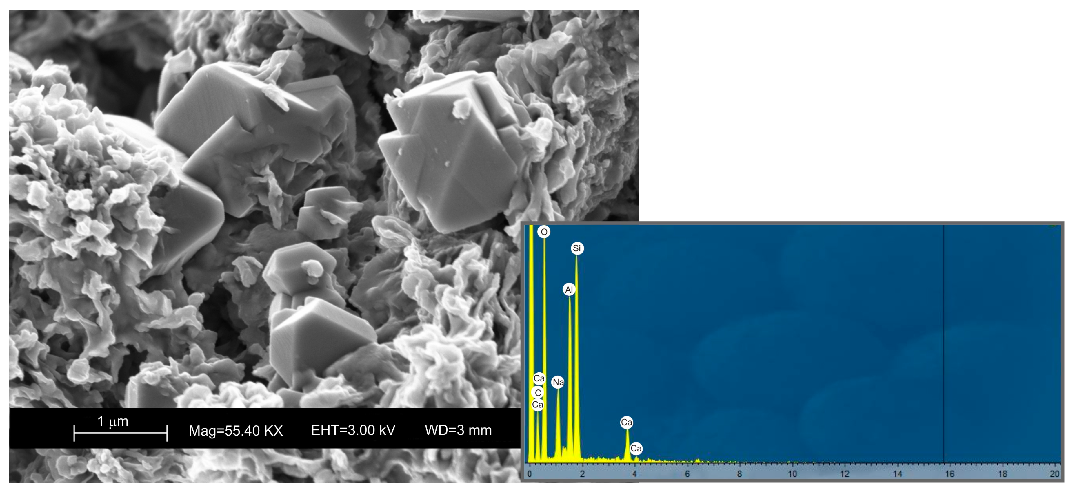 Horticulturae 09 01230 g001