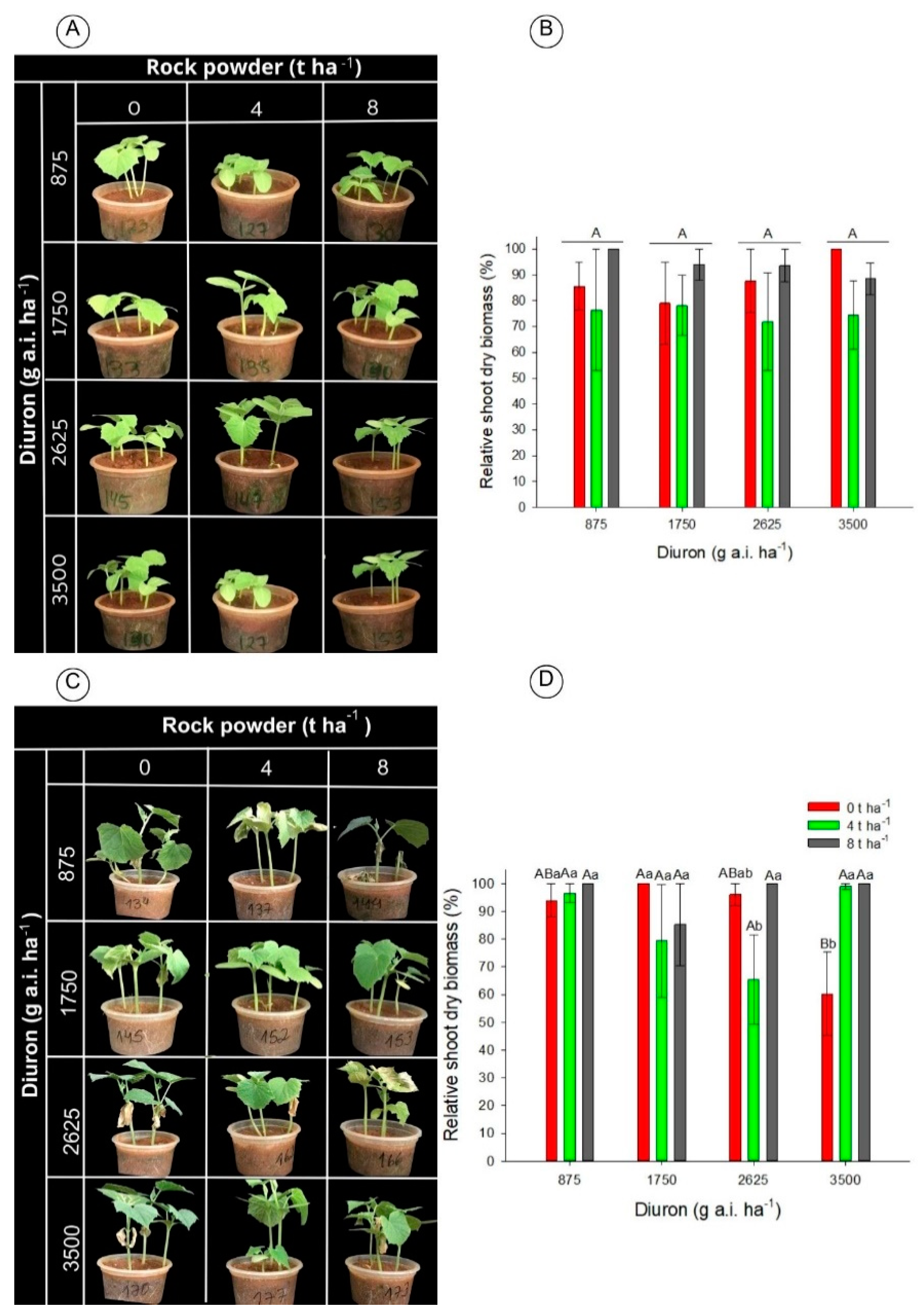 Horticulturae 09 01251 g005 Horticulturae 09 01251 g005