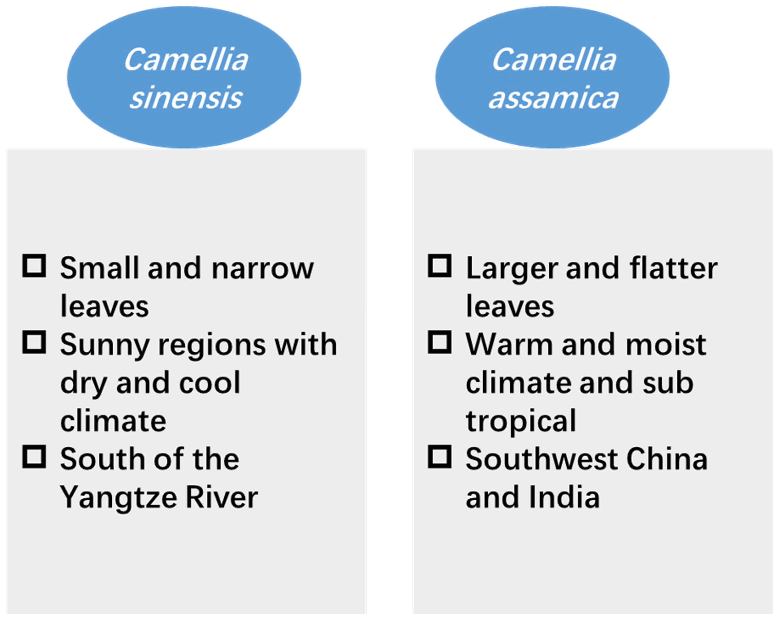 Horticulturae 09 01253 g002