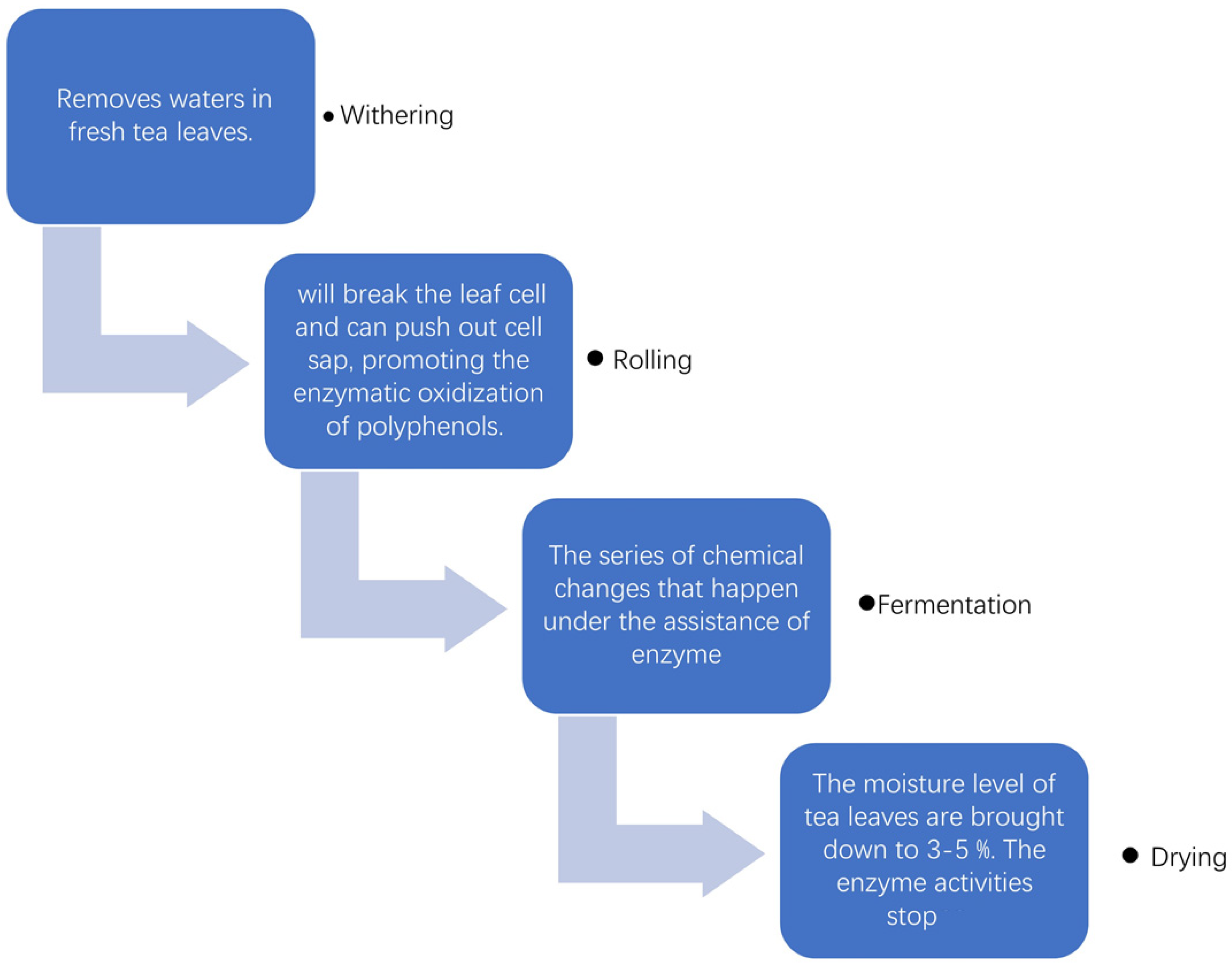Horticulturae 09 01253 g004