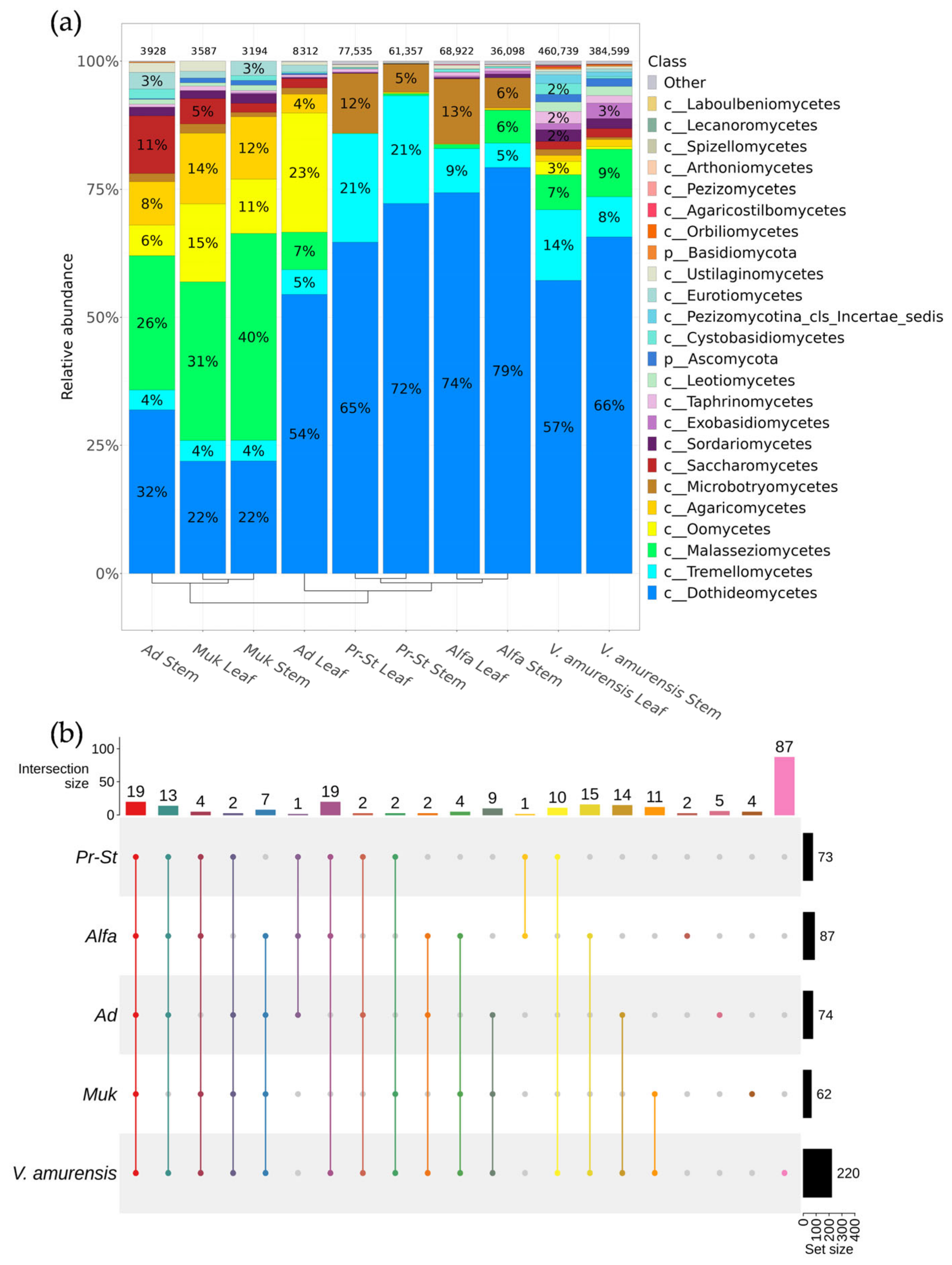 Horticulturae 09 01257 g003
