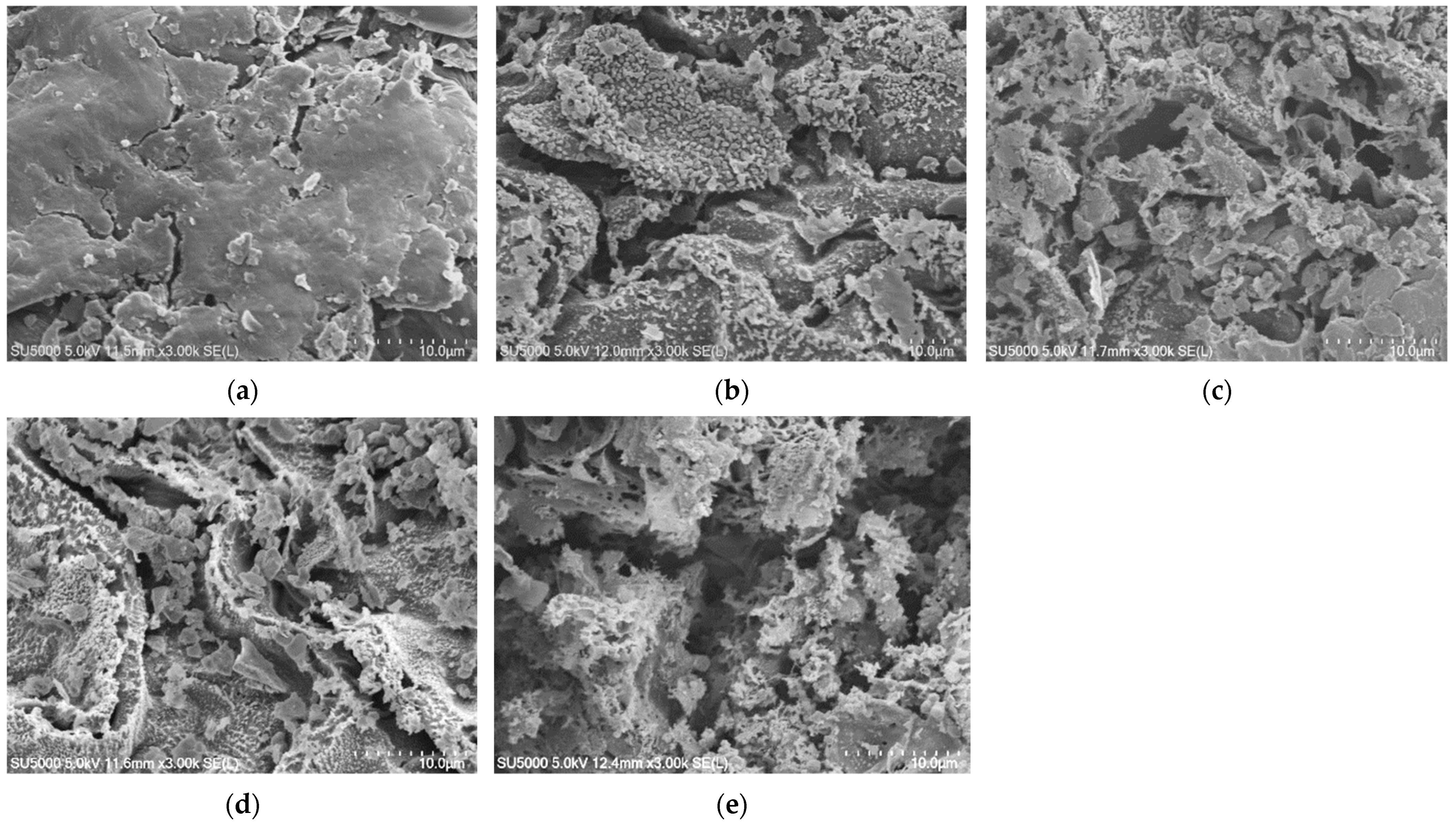 Horticulturae 09 01269 g002