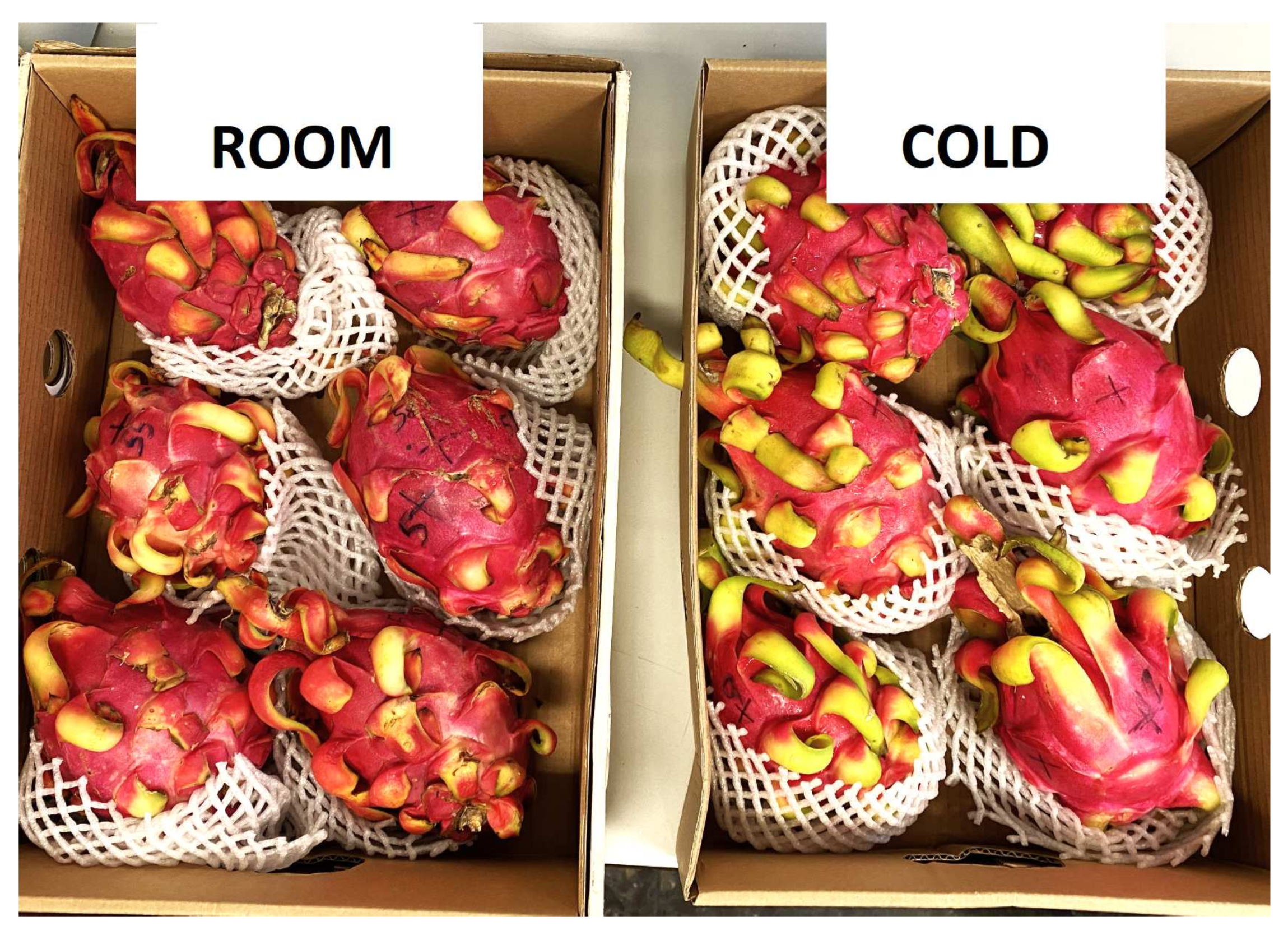 Horticulturae 09 01286 g004