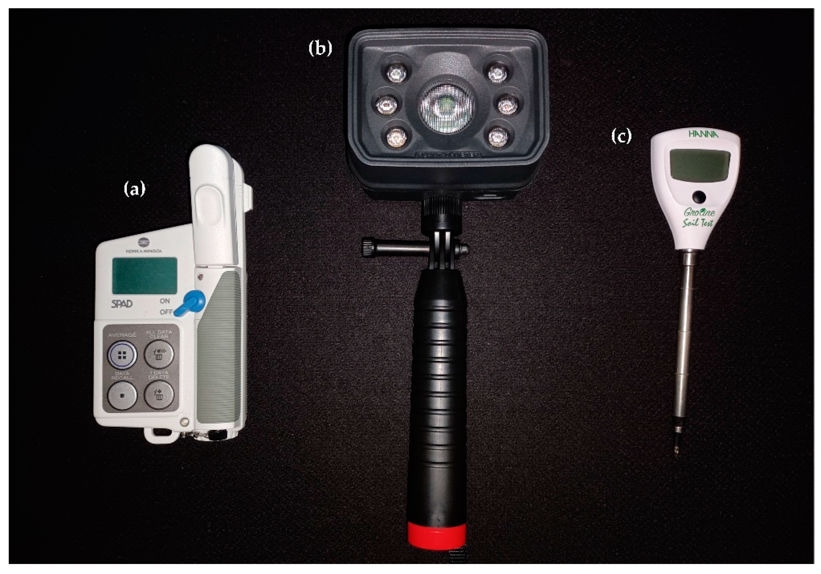 Horticulturae 09 01290 g002