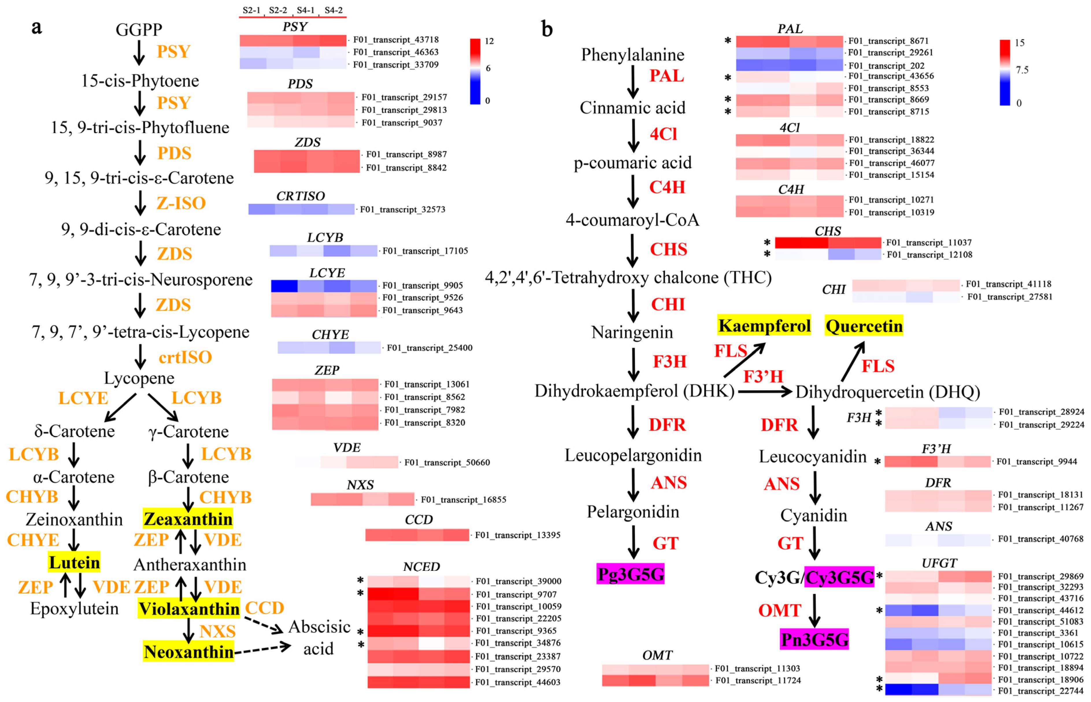 Horticulturae 09 01295 g003