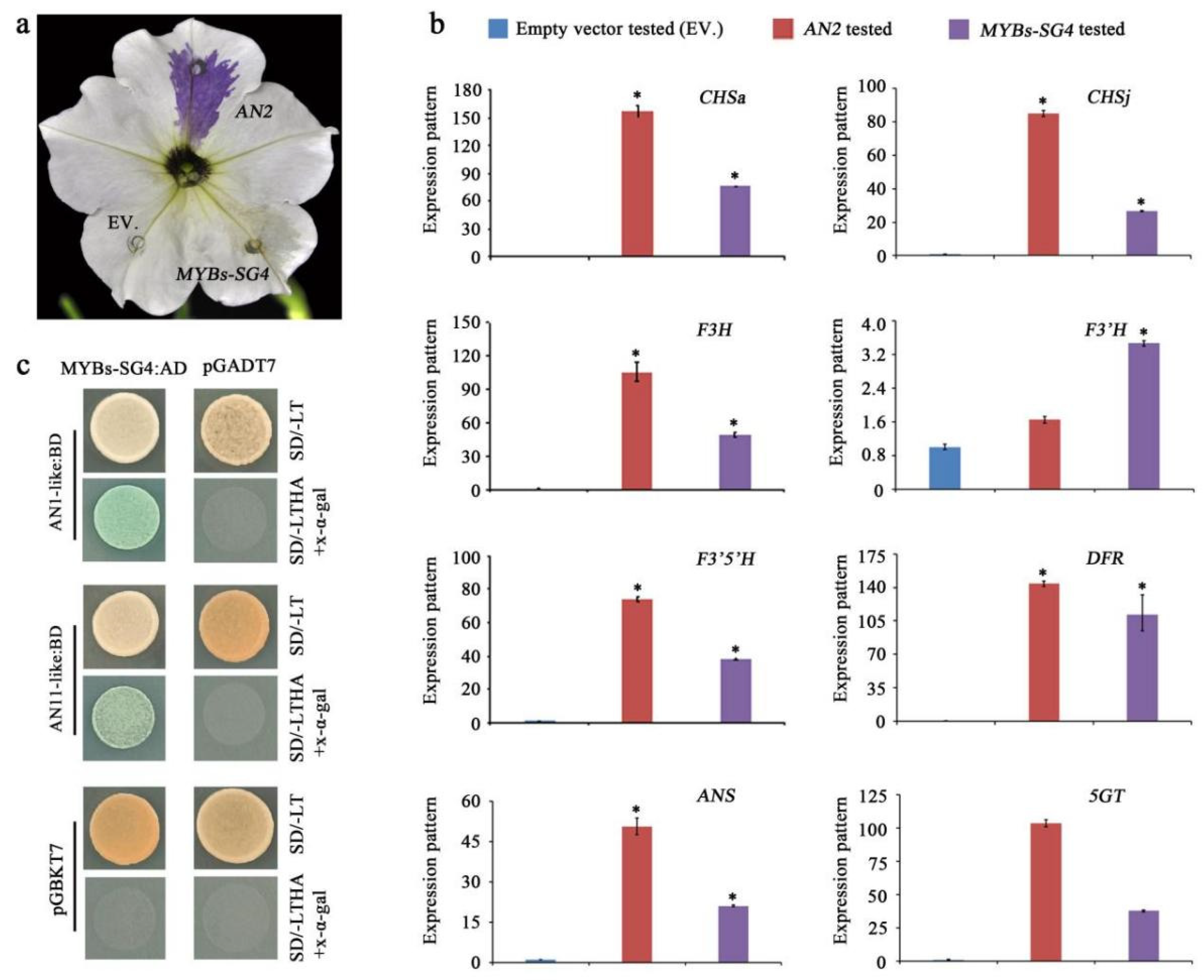 Horticulturae 09 01295 g006