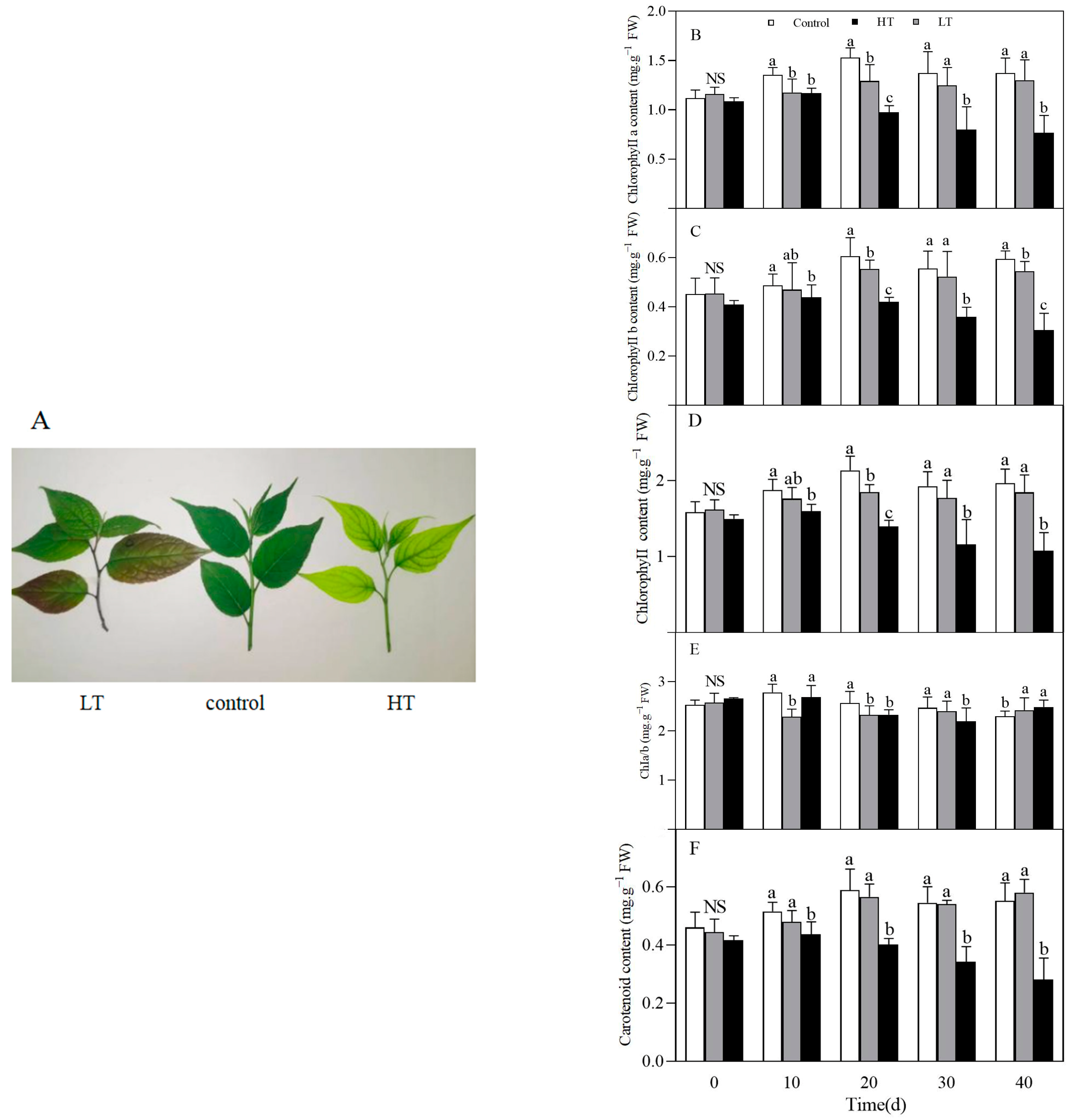 Horticulturae 09 01298 g002