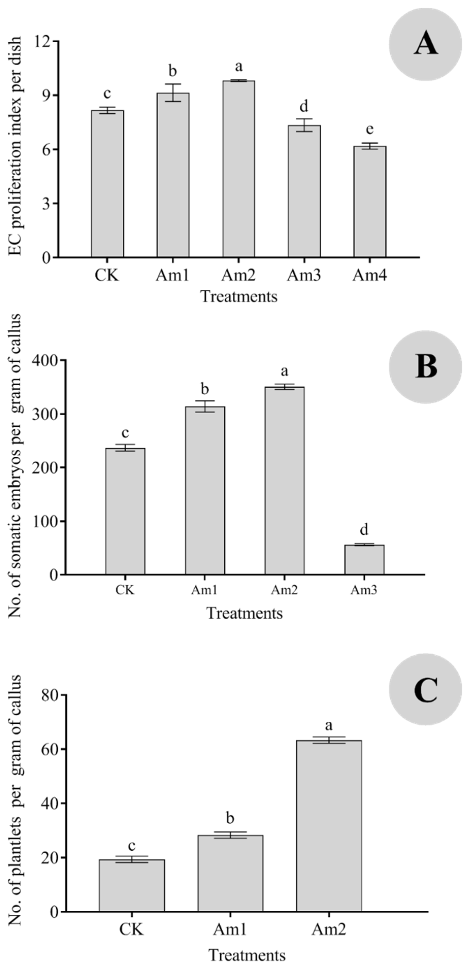 Horticulturae 09 01311 g001