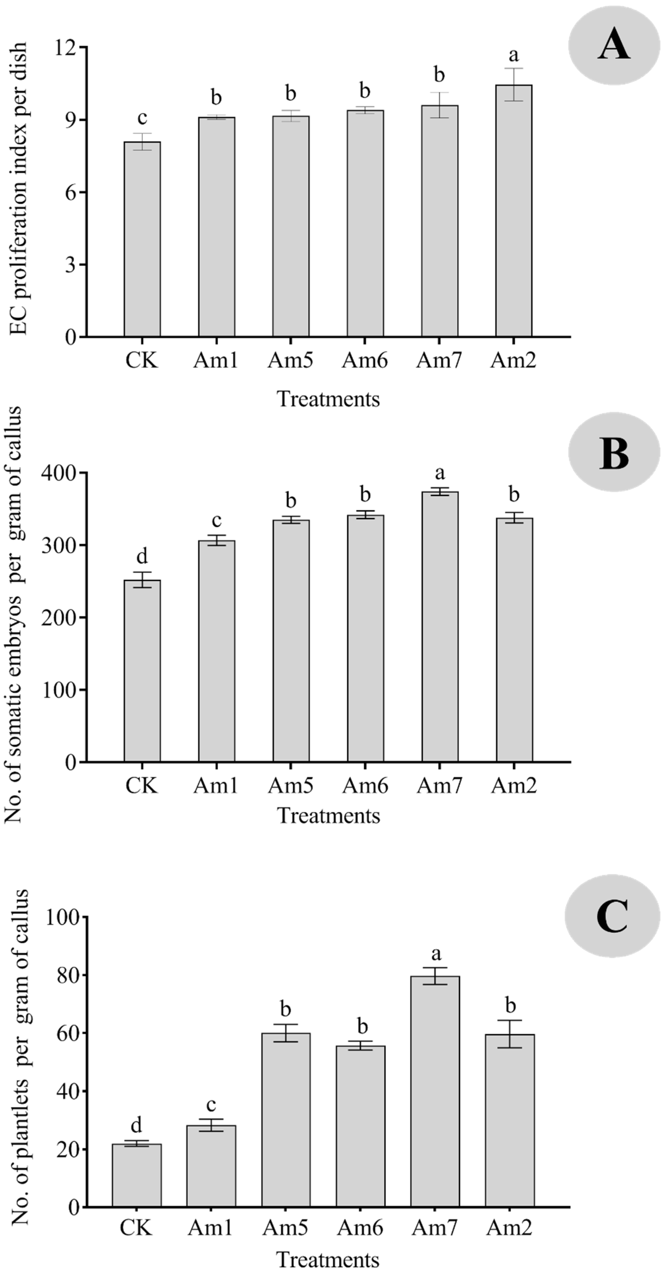 Horticulturae 09 01311 g003