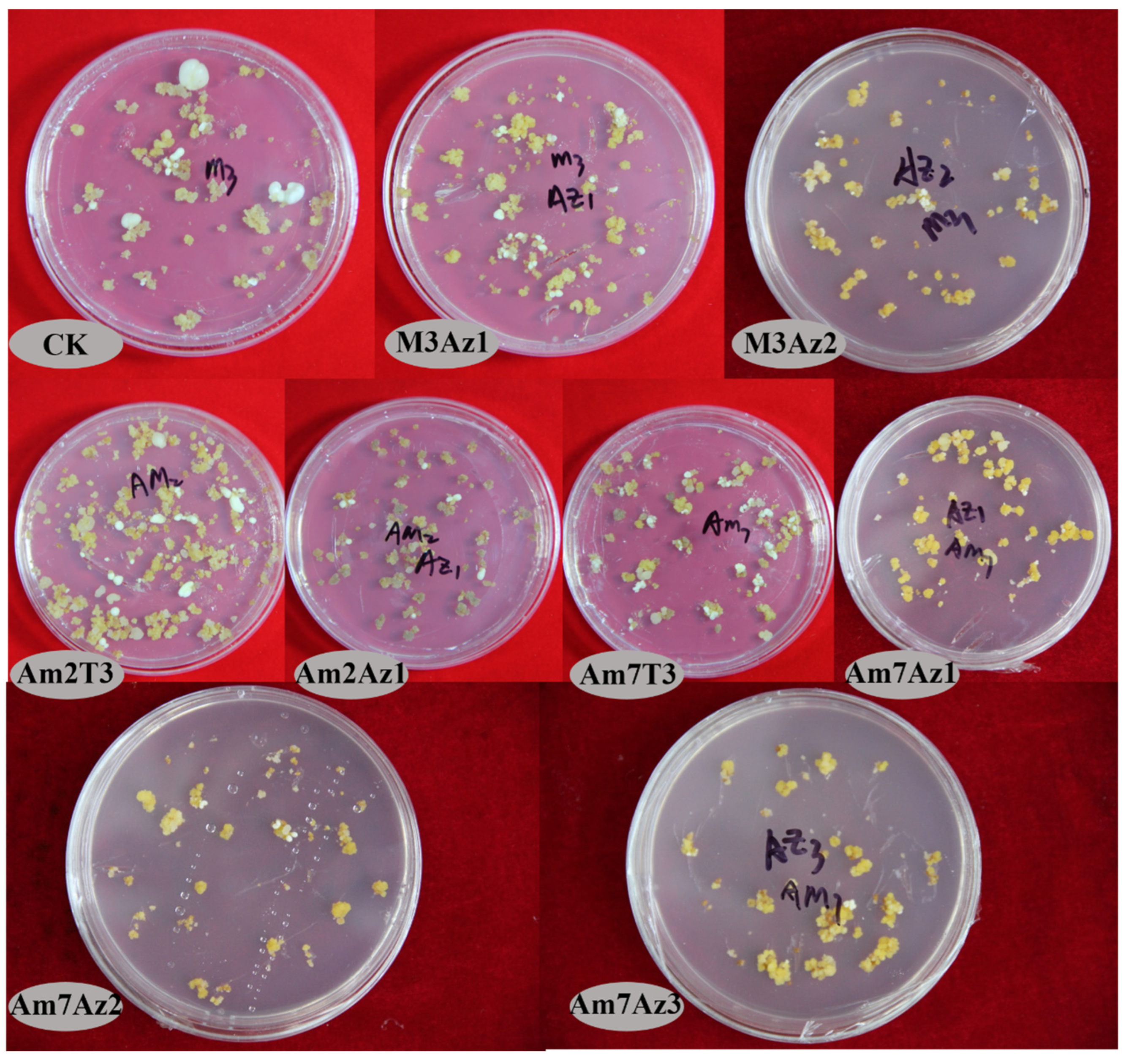 Horticulturae 09 01311 g007
