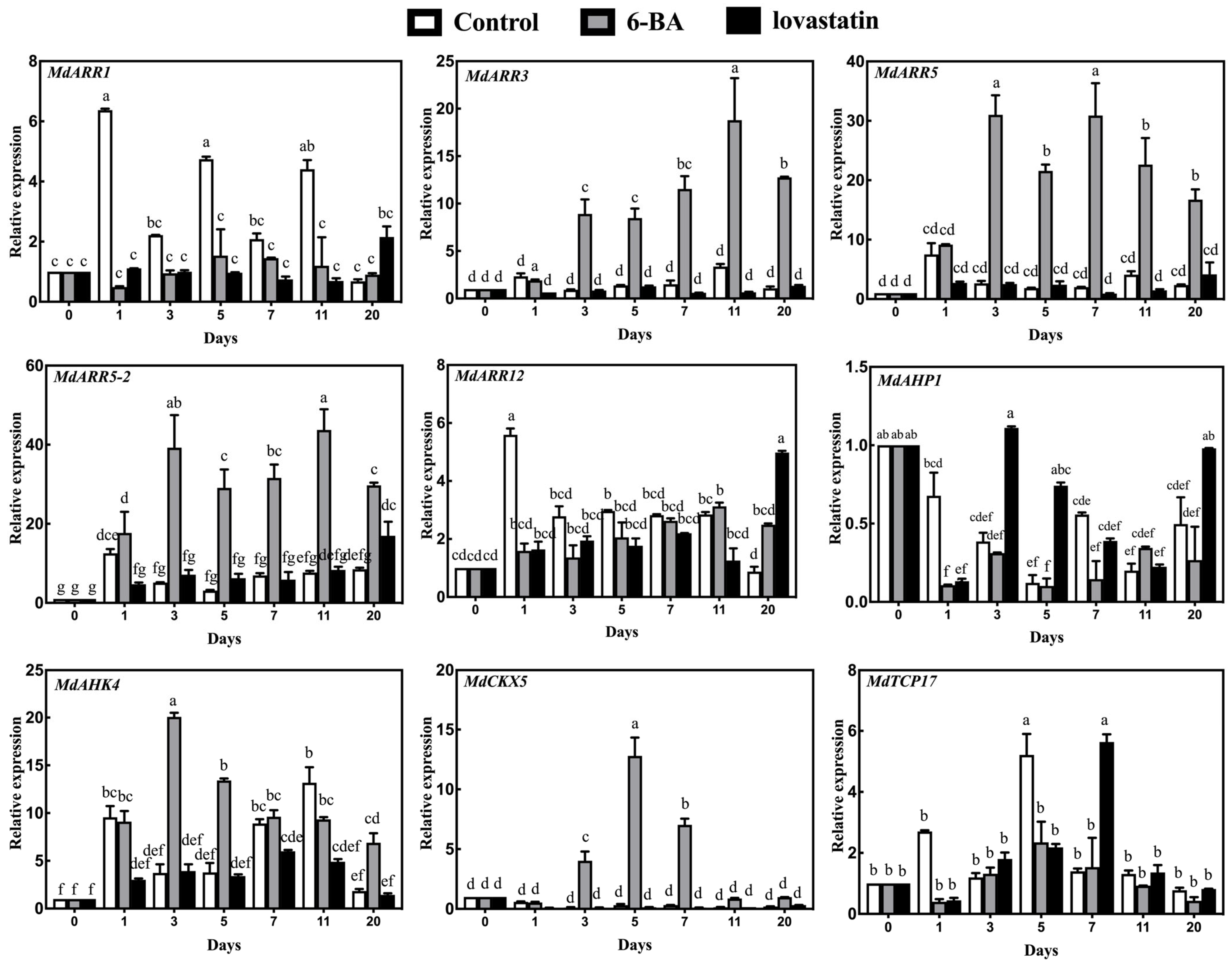 Horticulturae 09 01341 g003