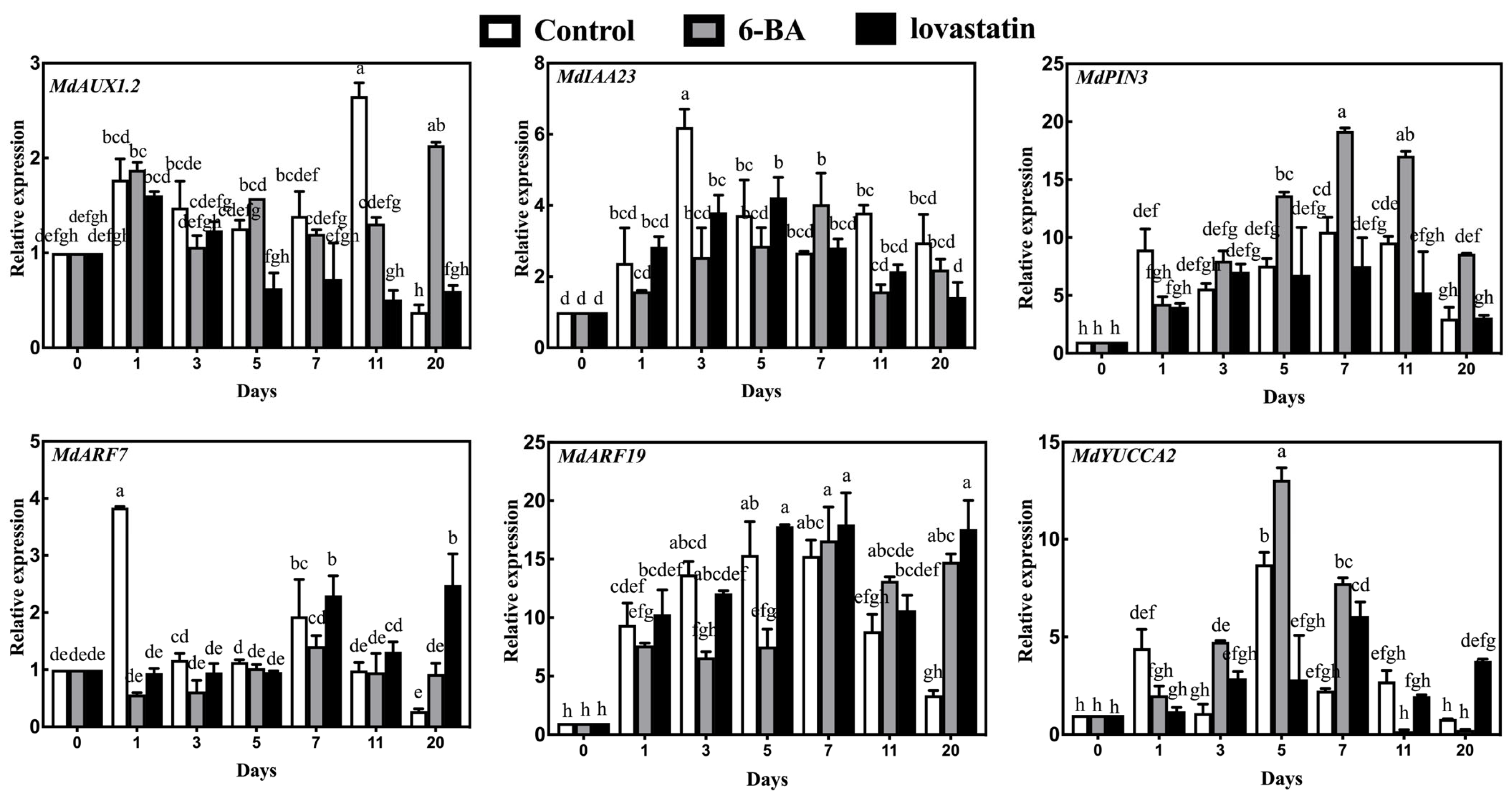 Horticulturae 09 01341 g004