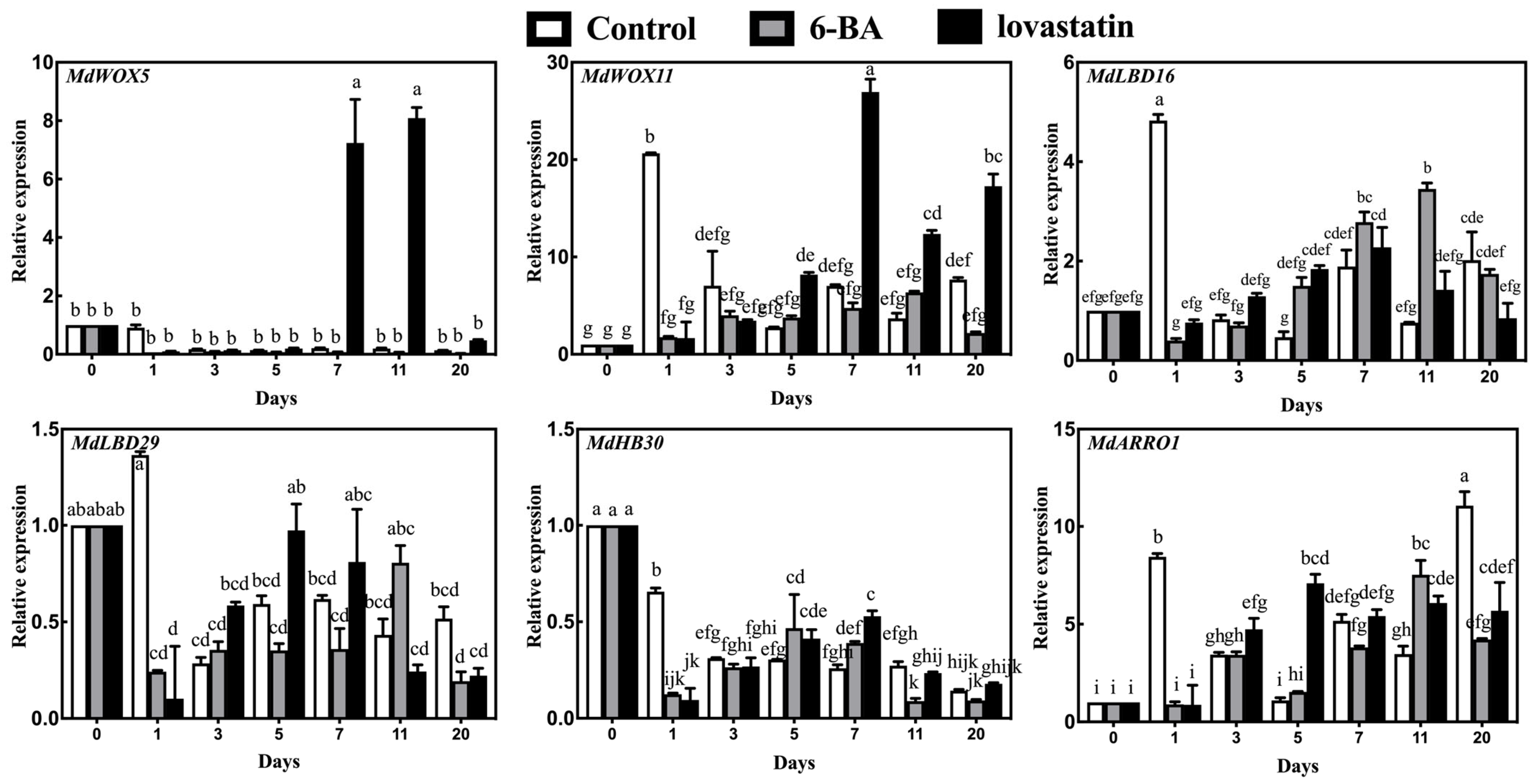 Horticulturae 09 01341 g005