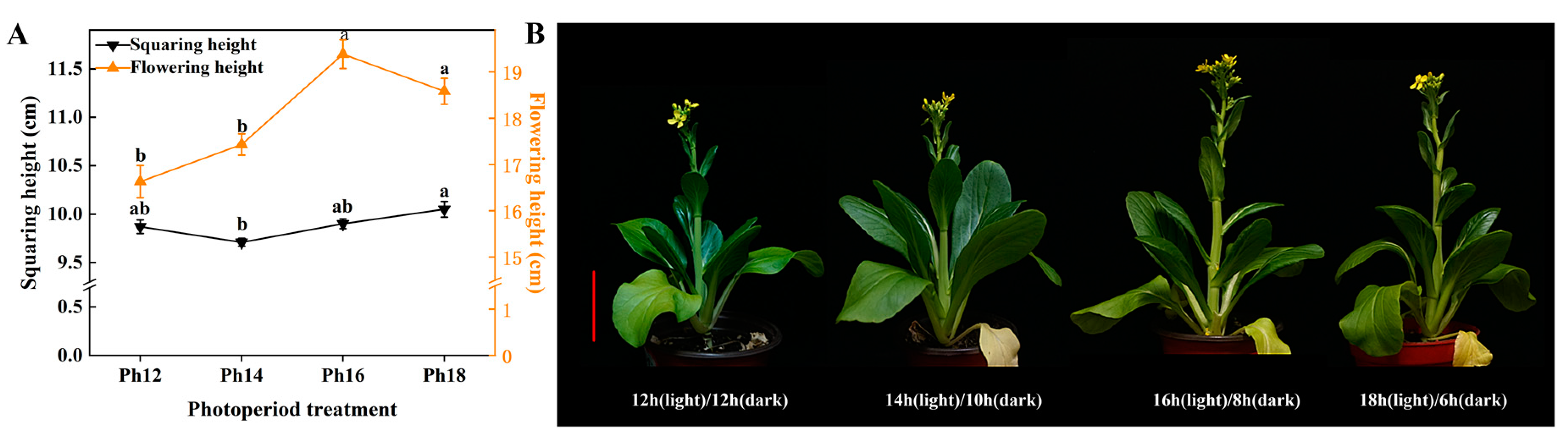 Horticulturae 09 01349 g004