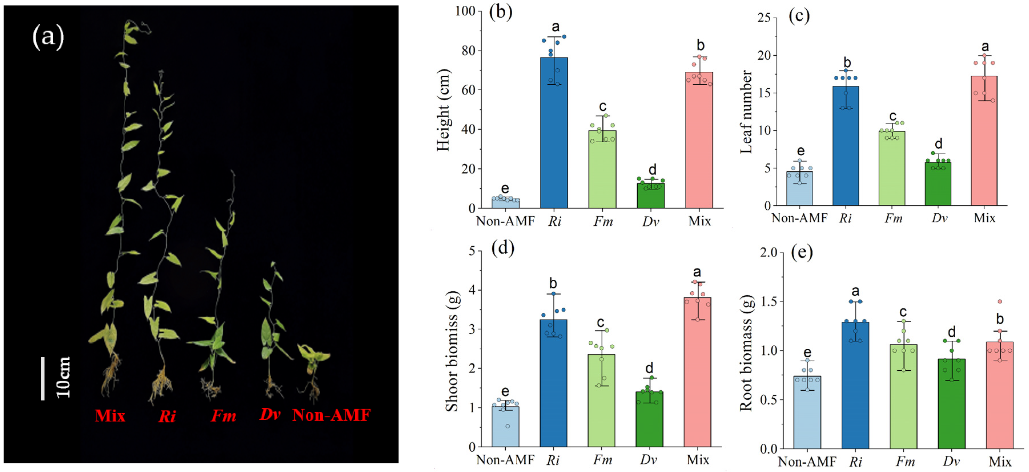 Horticulturae 09 01350 g002