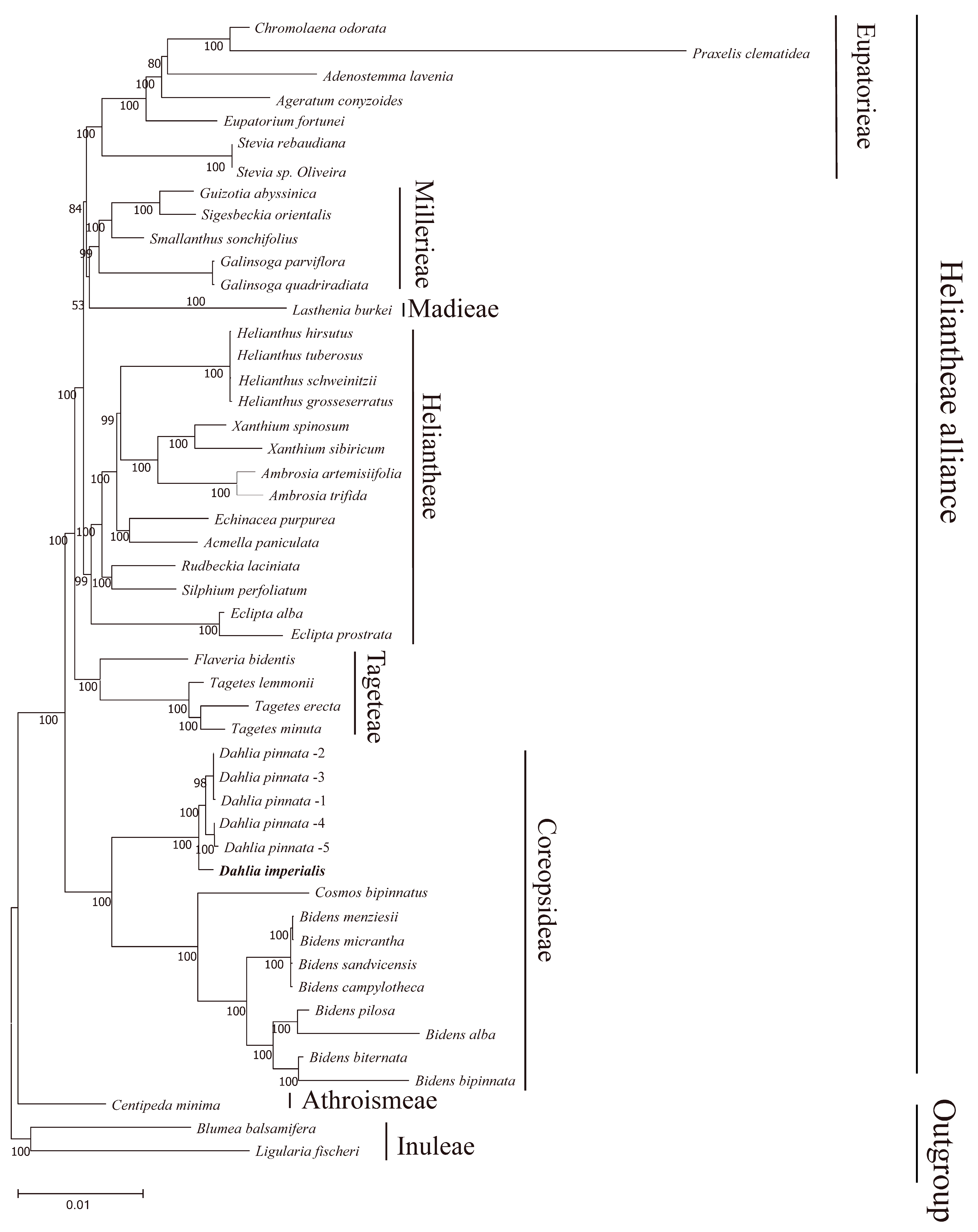 Horticulturae 10 00007 g009