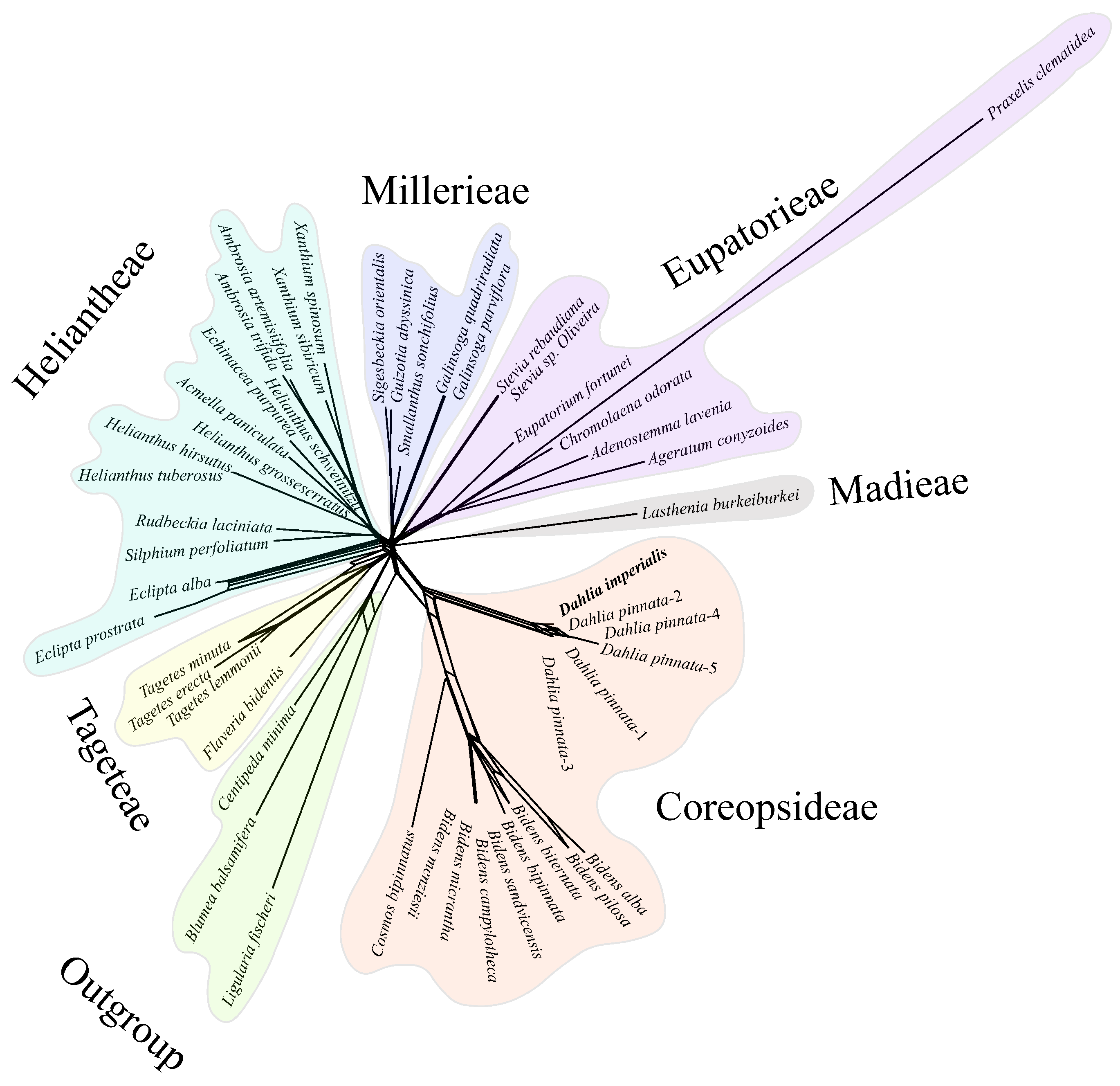 Horticulturae 10 00007 g010