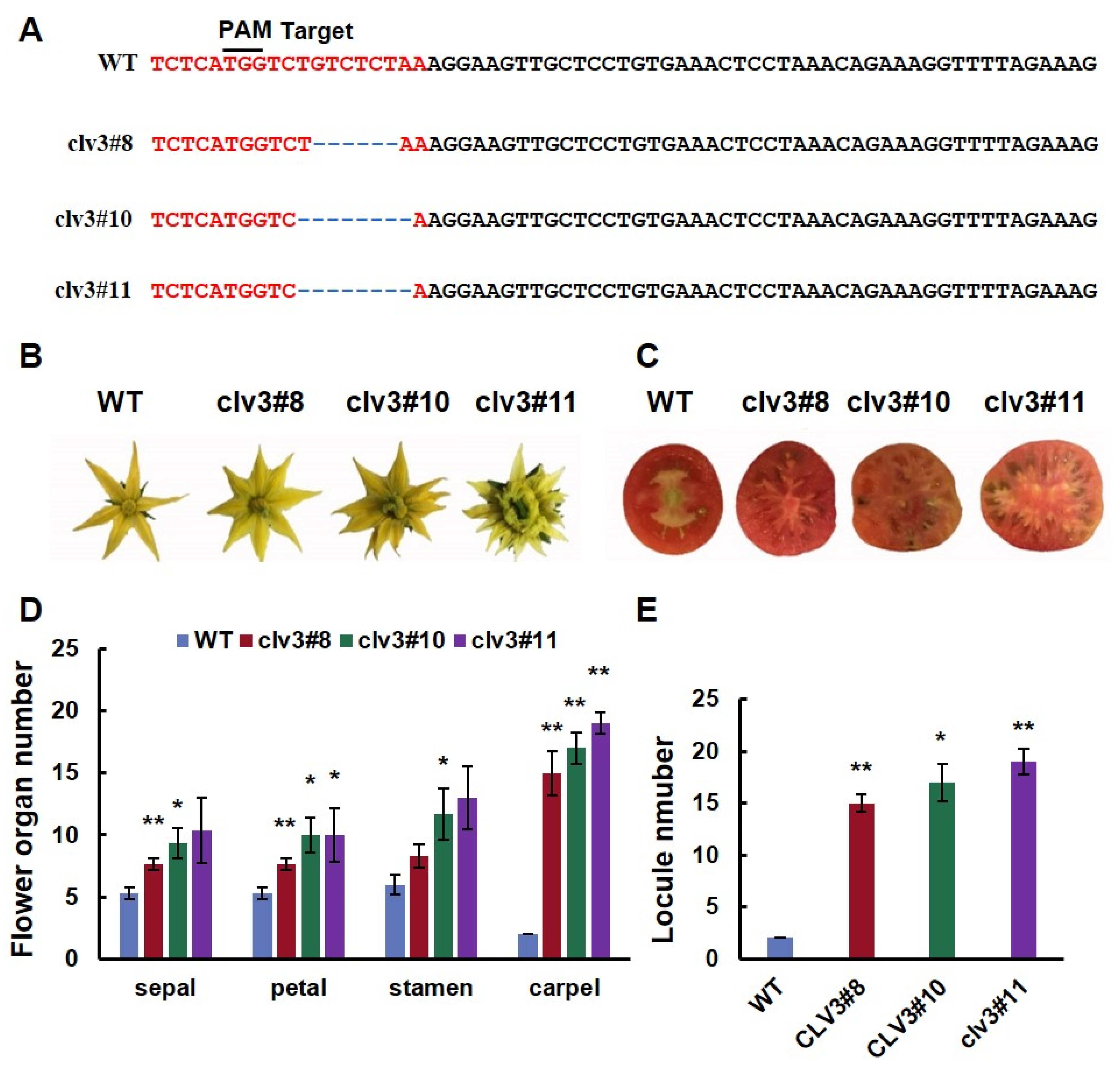 Horticulturae 10 00011 g001