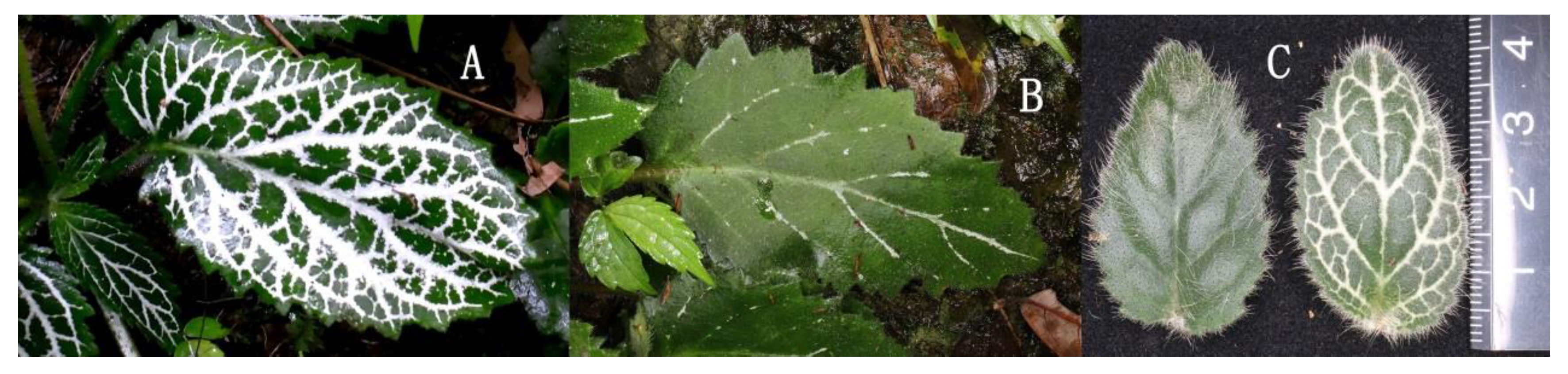 Horticulturae 10 00019 g001 Horticulturae 10 00019 g001