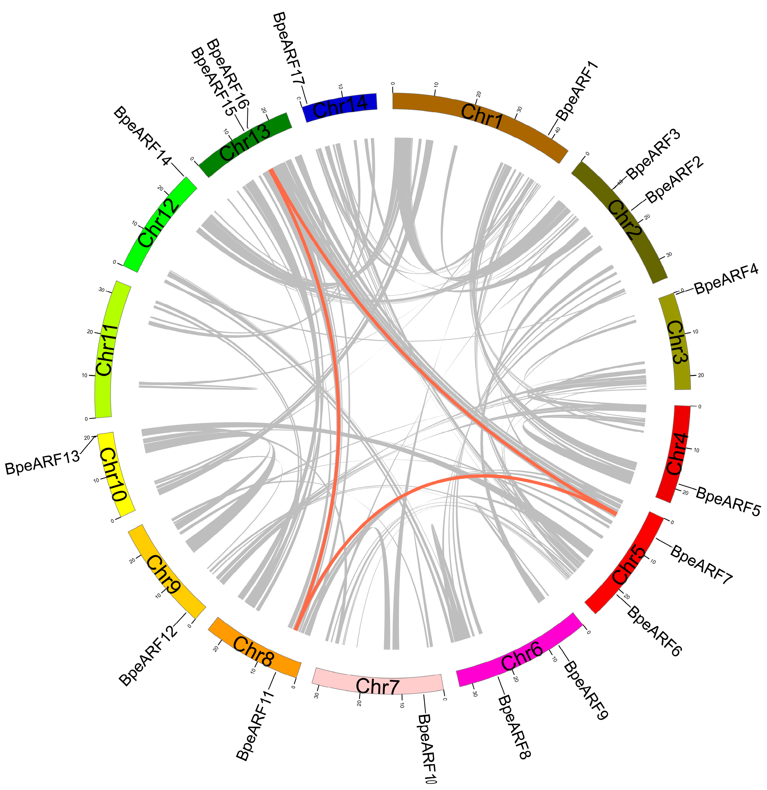 Horticulturae 10 00027 g001
