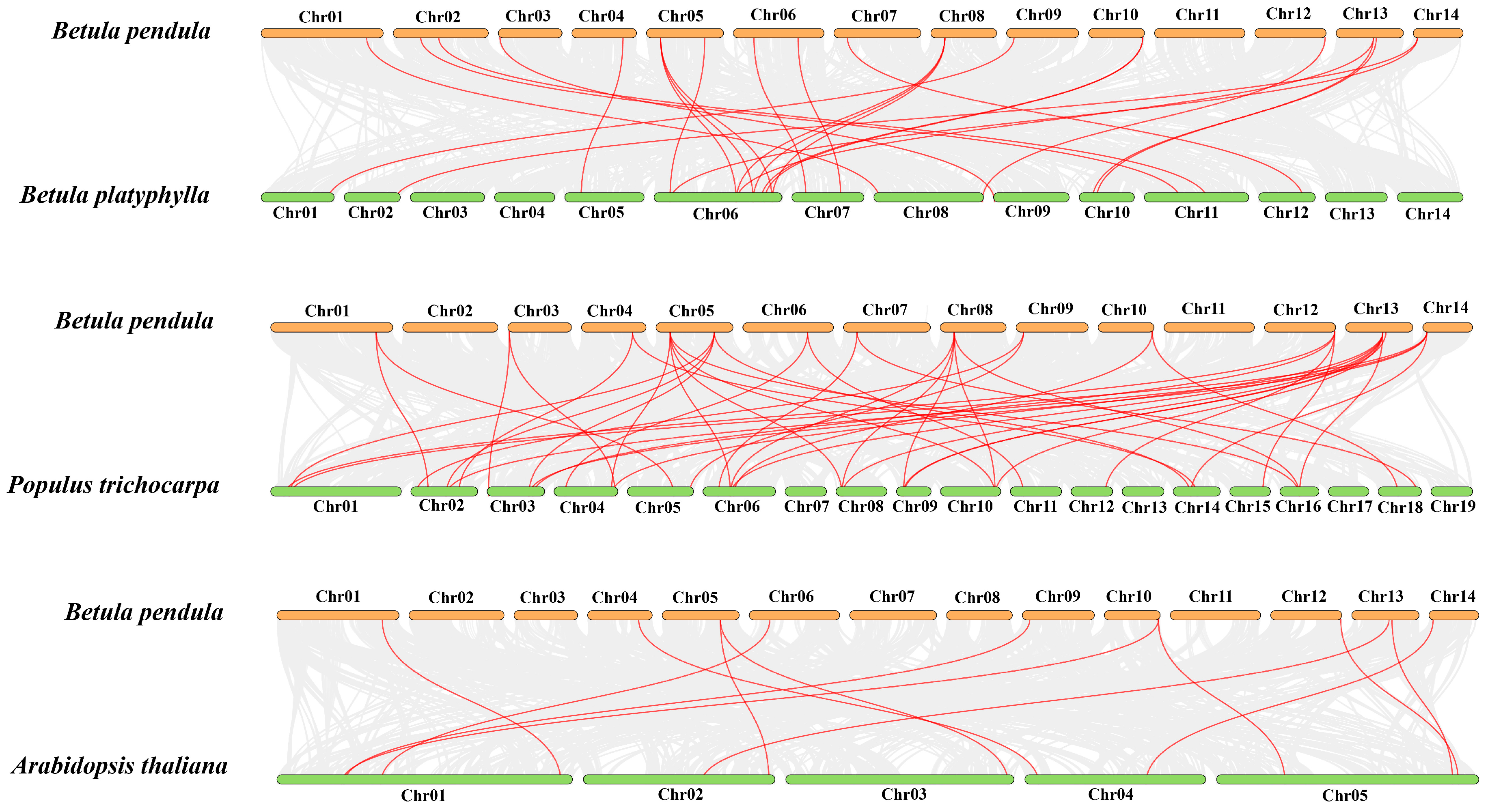 Horticulturae 10 00027 g002