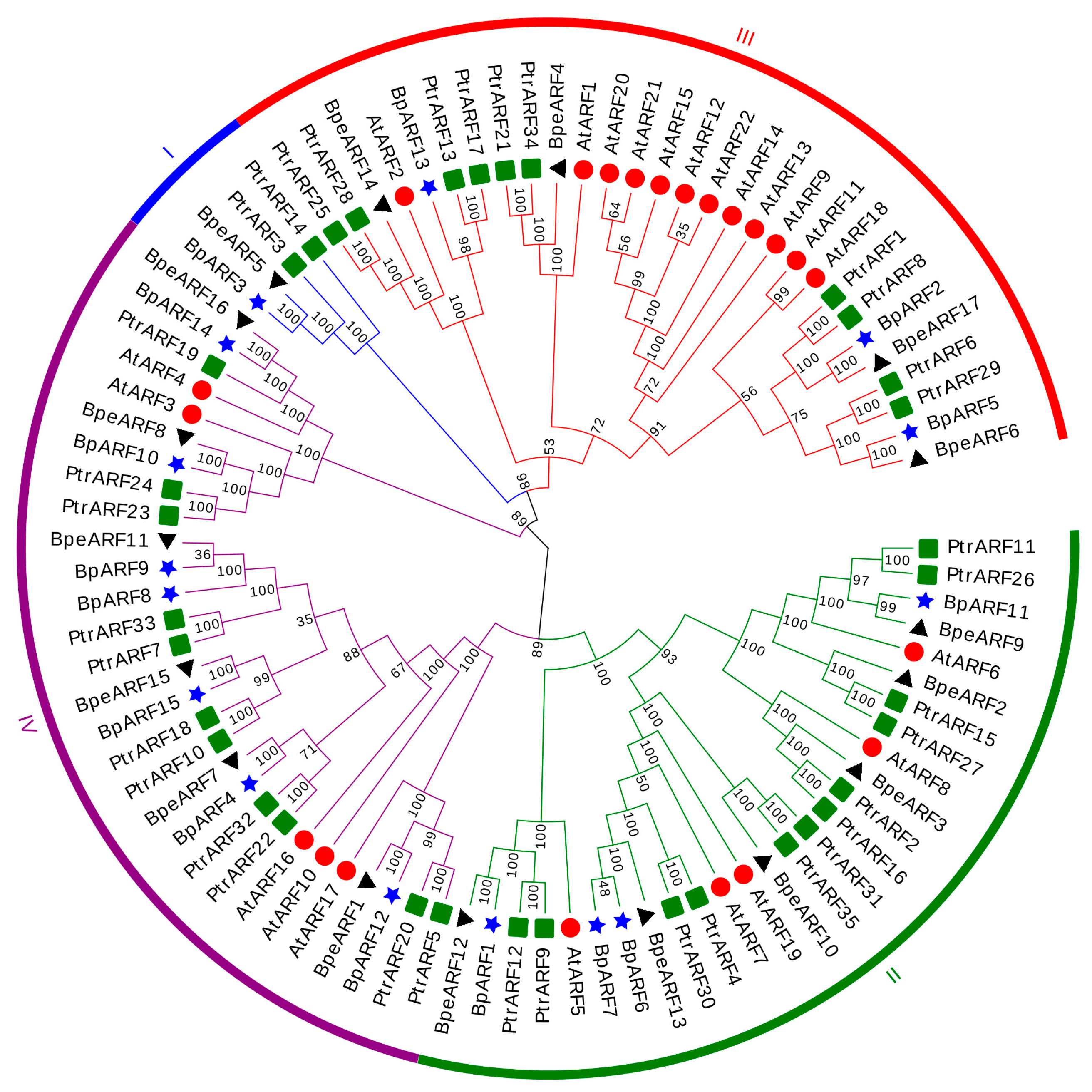 Horticulturae 10 00027 g003